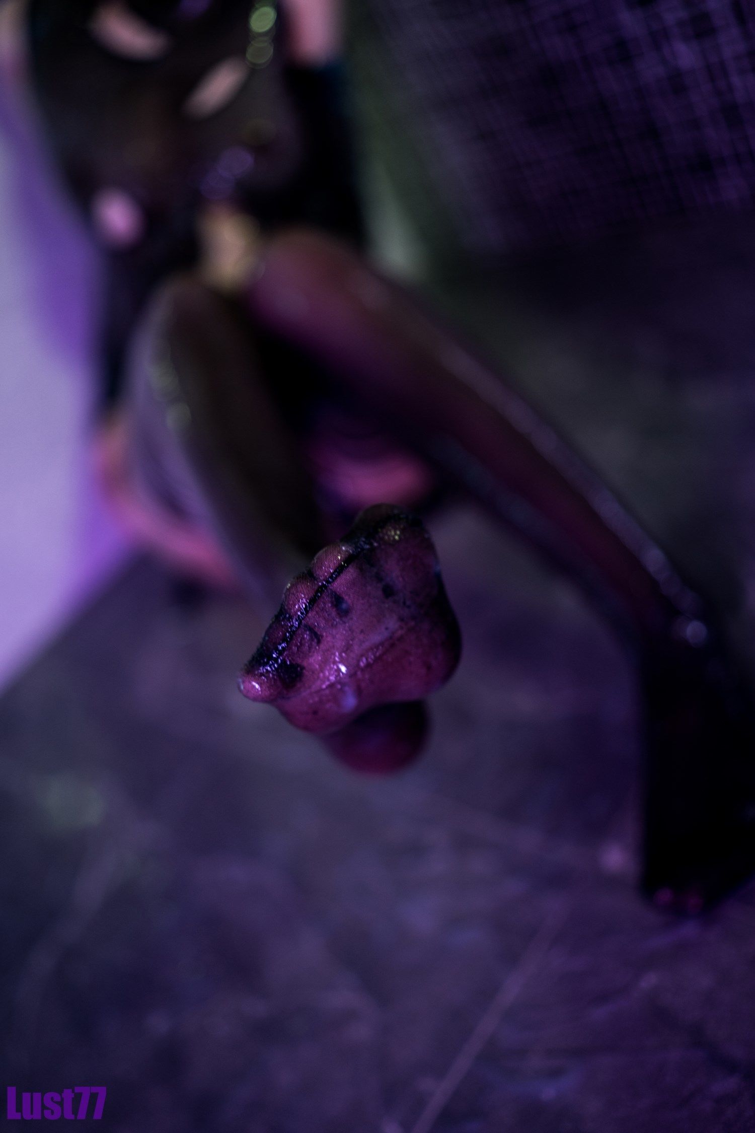 [福利COS] 动漫博主柒柒要乖哦 - 白液俘虏