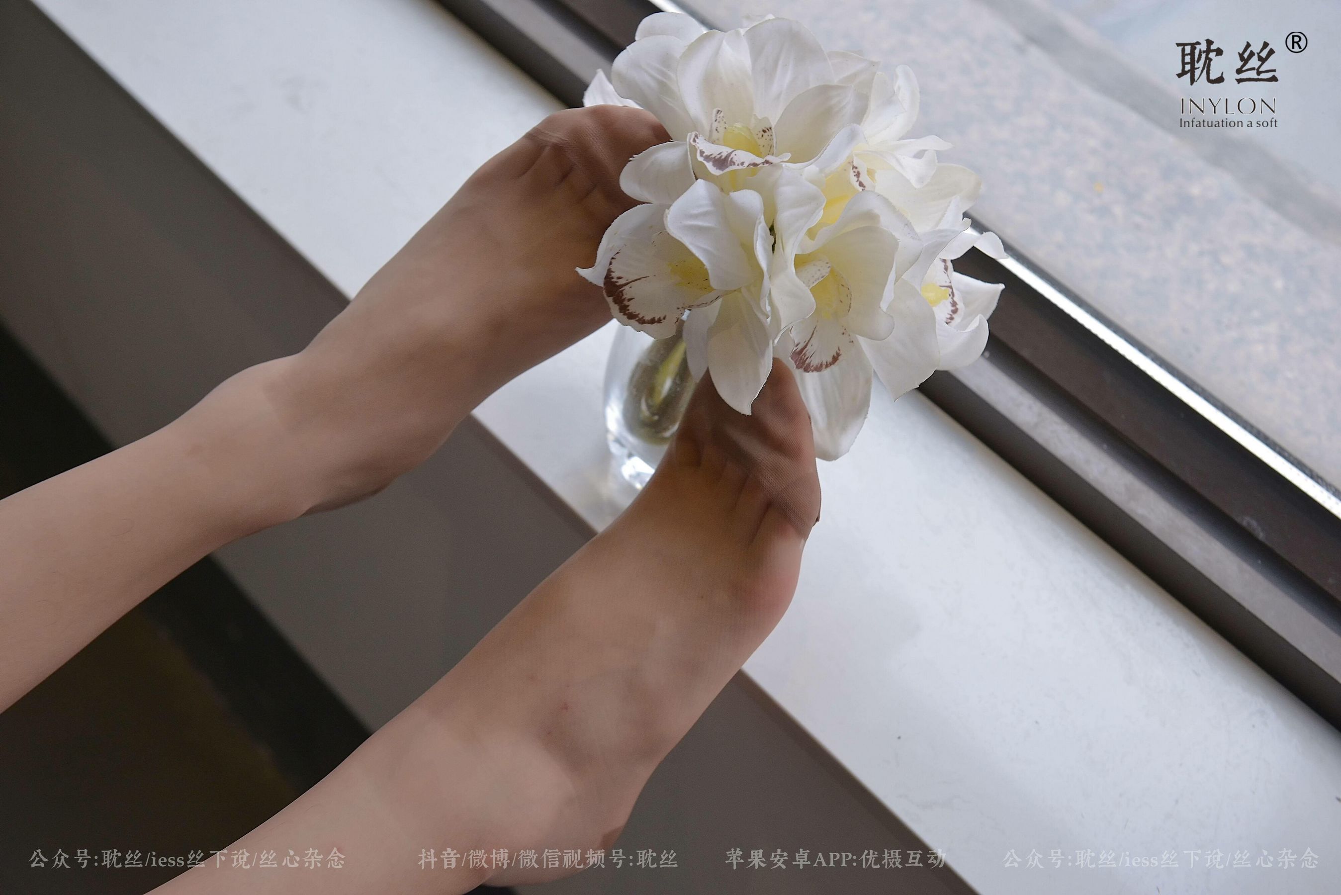 [耽丝INYLON] 008 优雅的本色