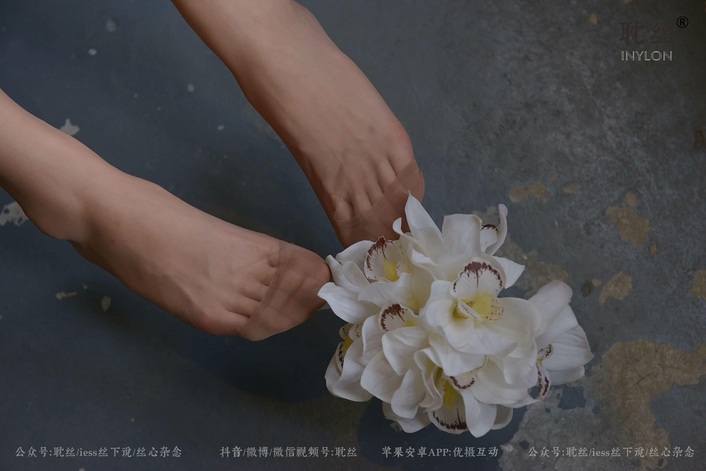 [耽丝INYLON] 008 优雅的本色