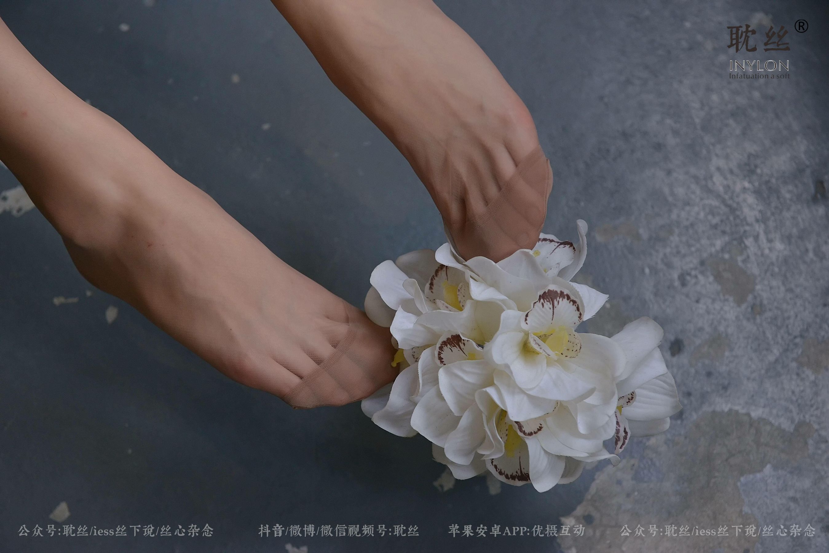 [耽丝INYLON] 008 优雅的本色