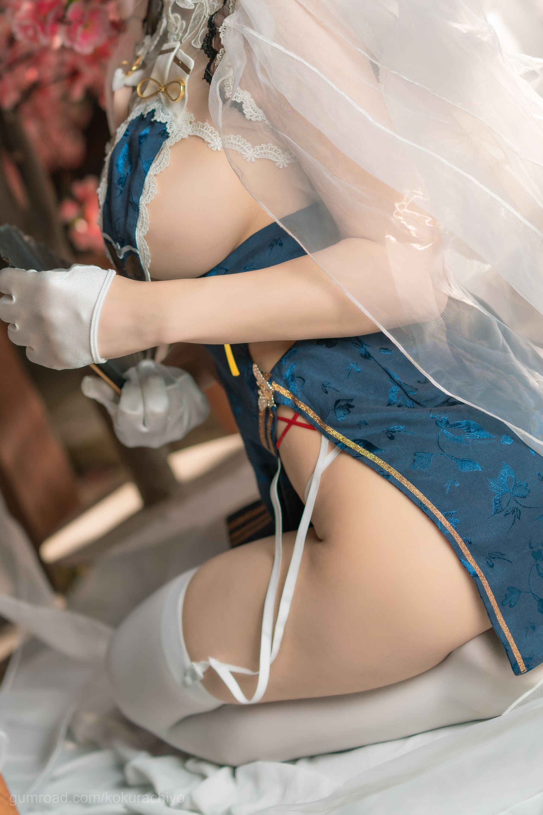 [福利COS] 动漫博主小仓千代w - 天狼星旗袍