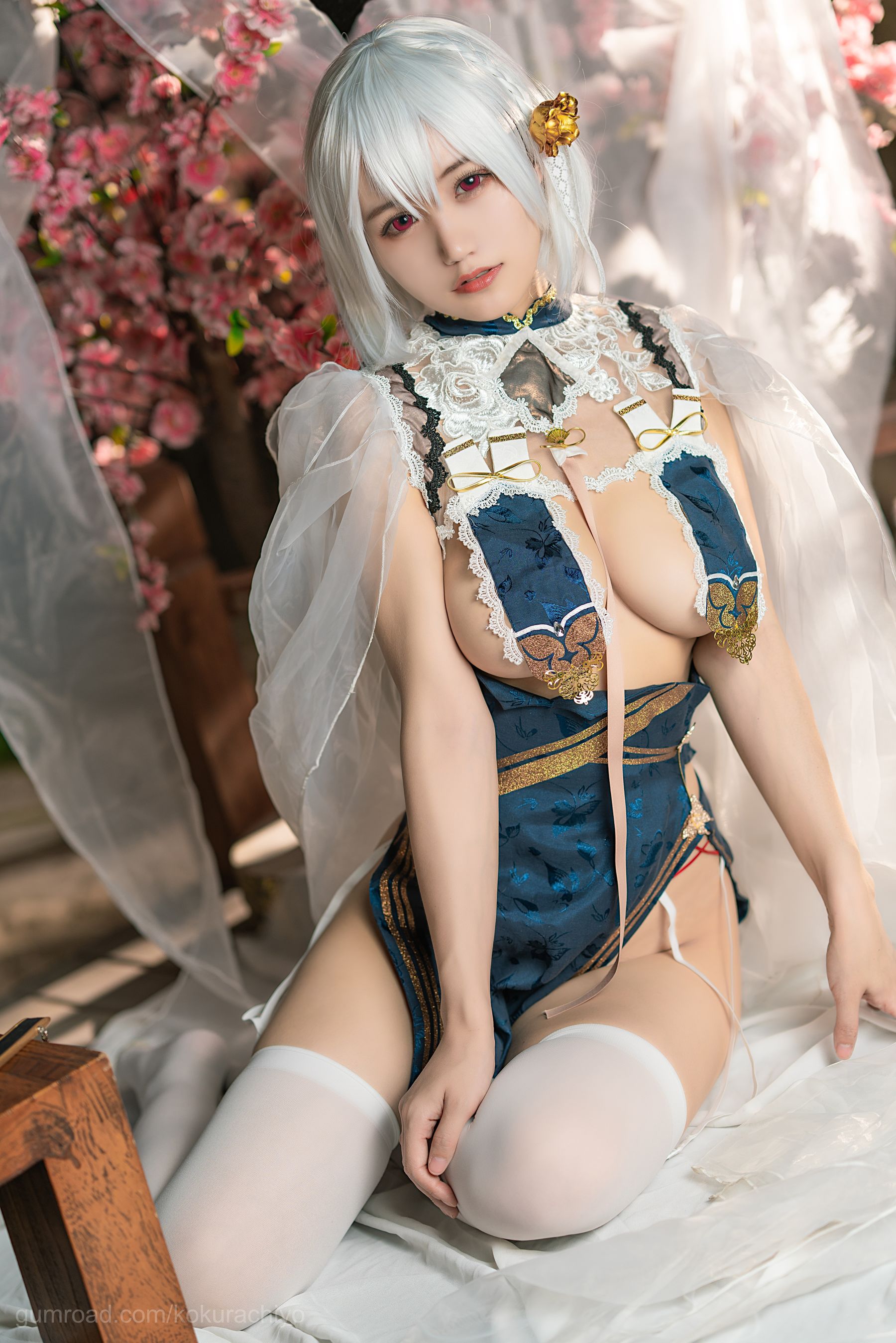 [福利COS] 动漫博主小仓千代w - 天狼星旗袍