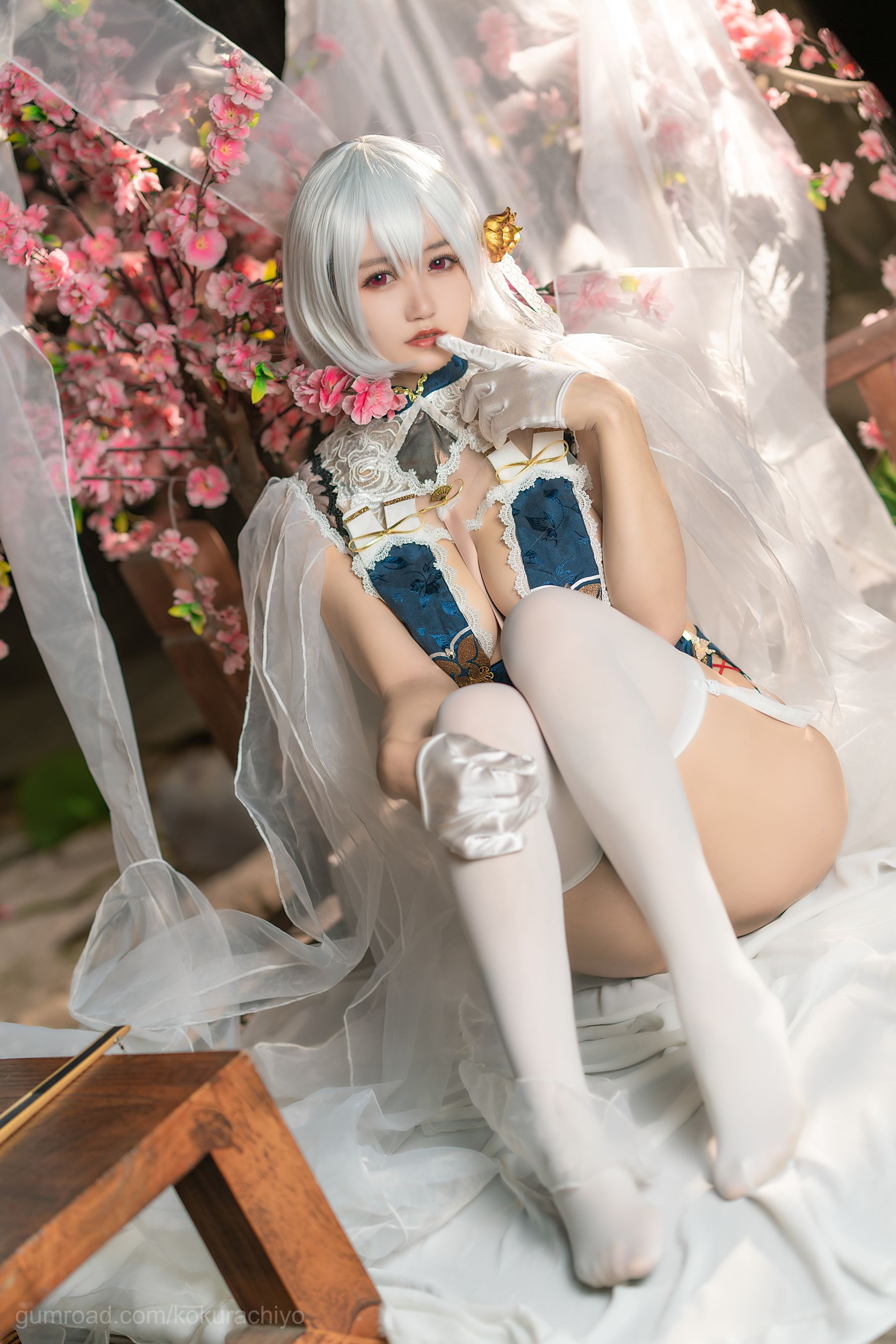 [福利COS] 动漫博主小仓千代w - 天狼星旗袍