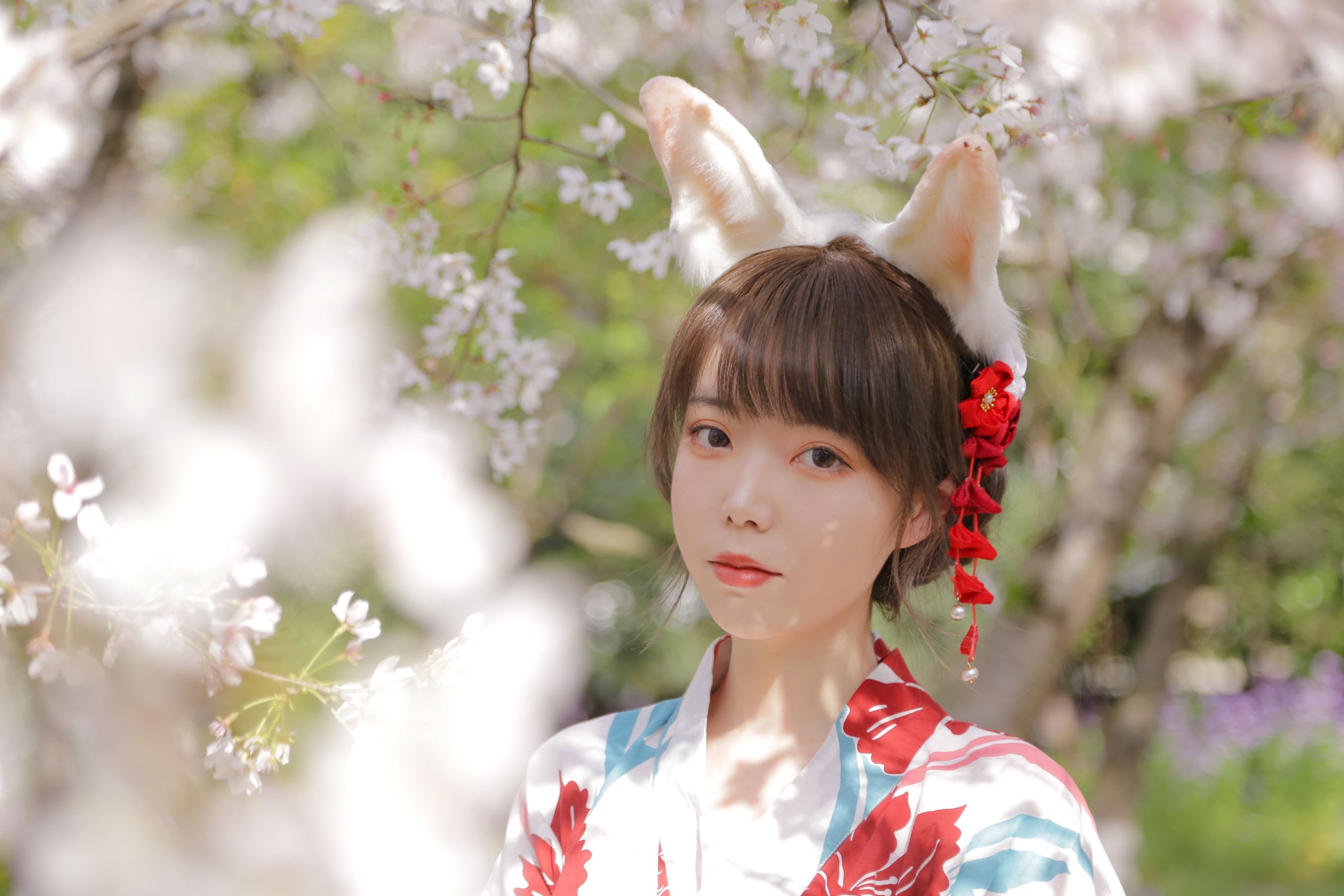 [福利COS] 可爱妹子Fushii_海堂 - 樱花兔兔