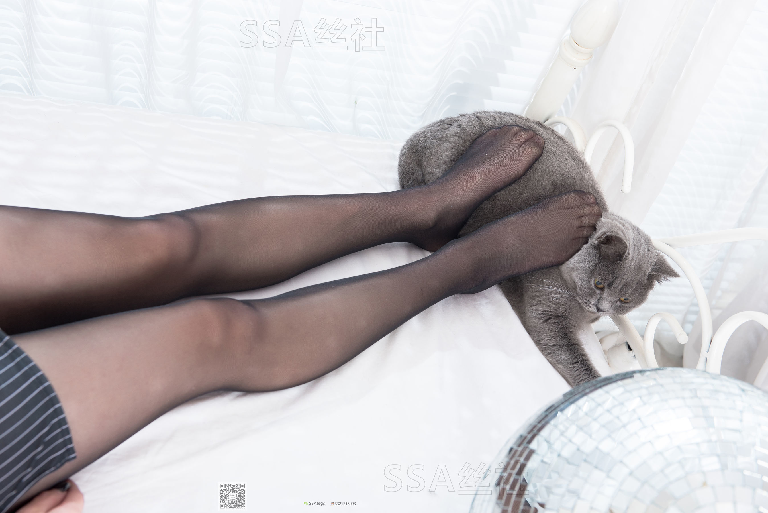 [SSA丝社]超清写真 No.081 佳佳 黑色星期五