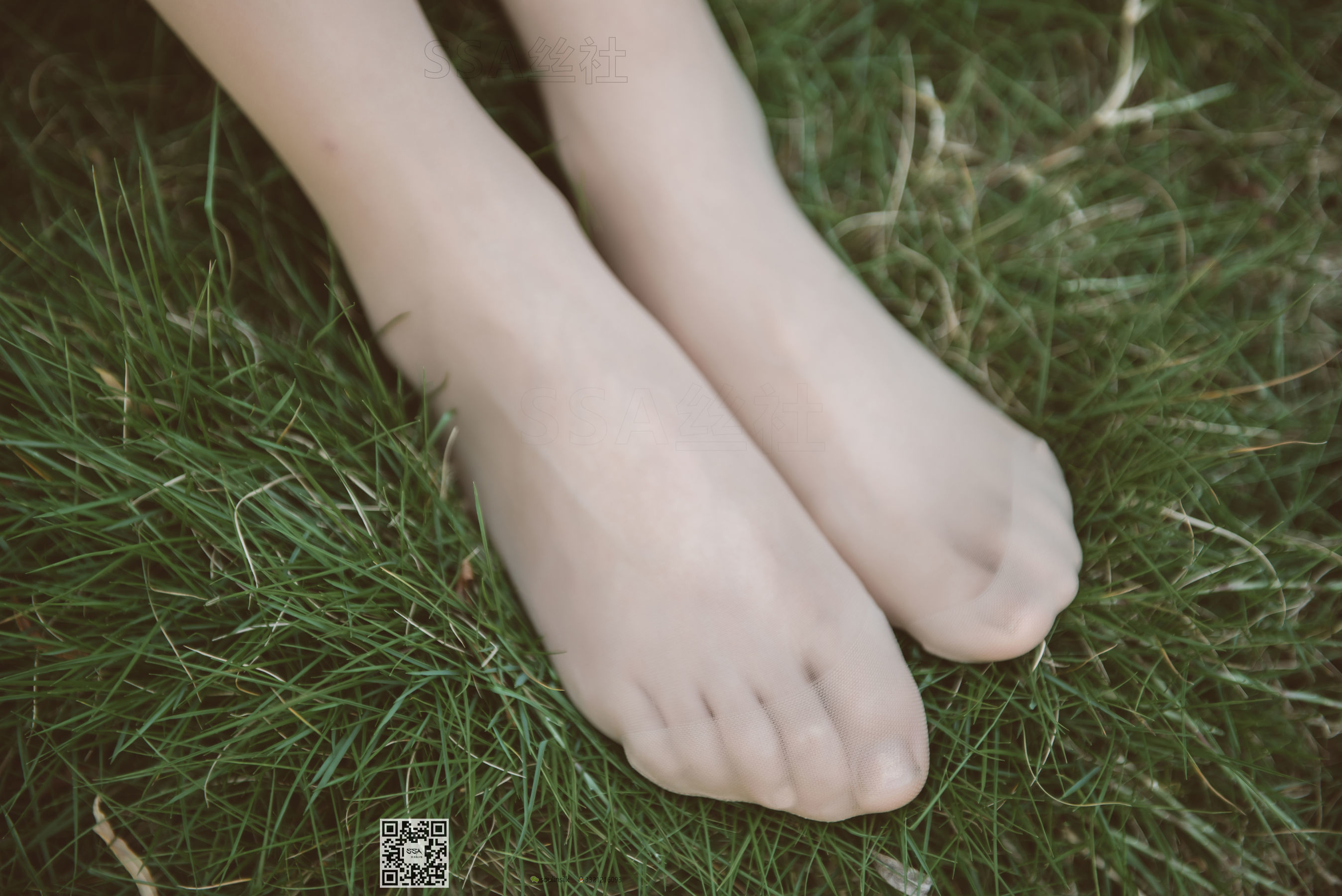 [SSA丝社]超清写真 No.111 腿模君君 旗袍秀