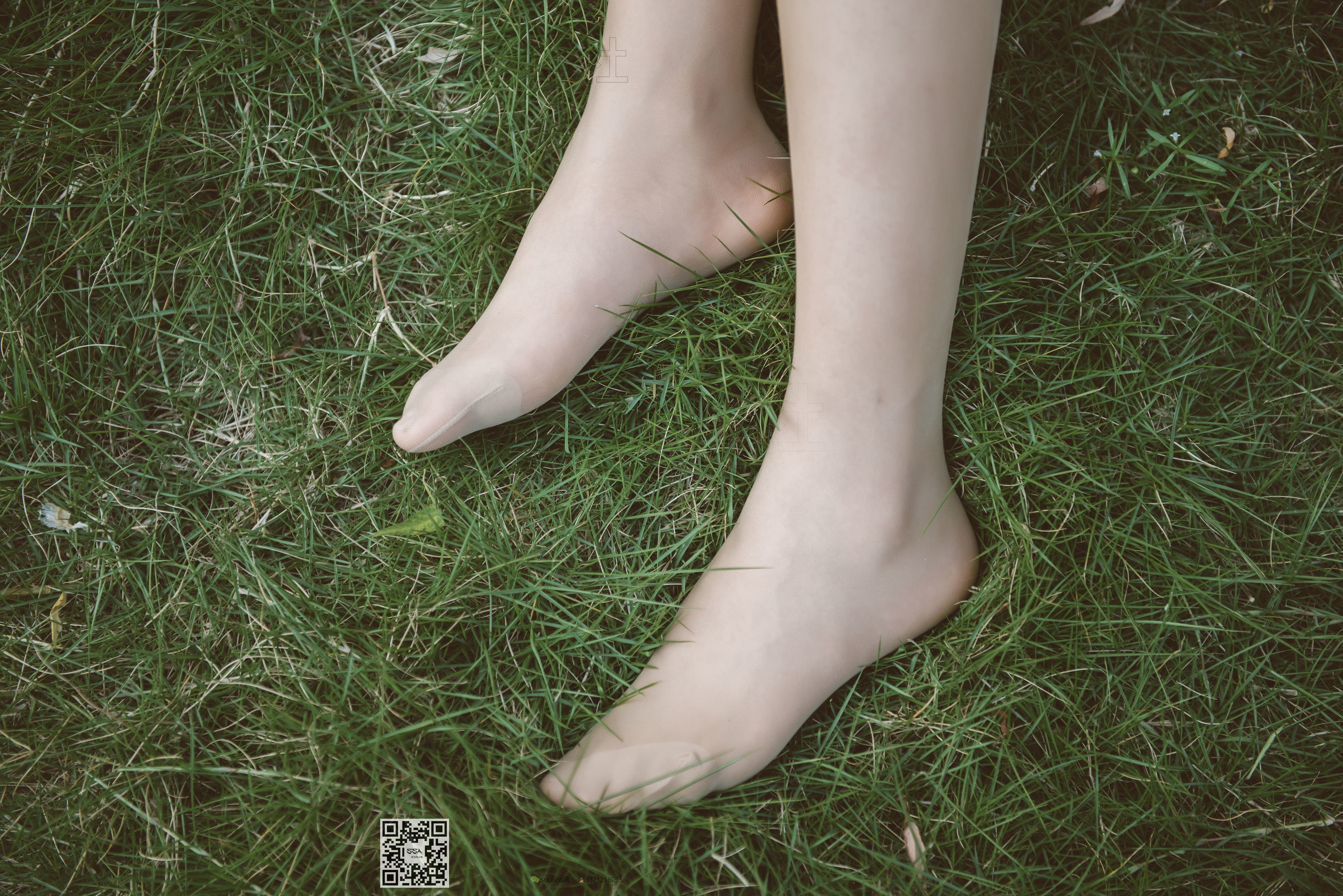 [SSA丝社]超清写真 No.111 腿模君君 旗袍秀