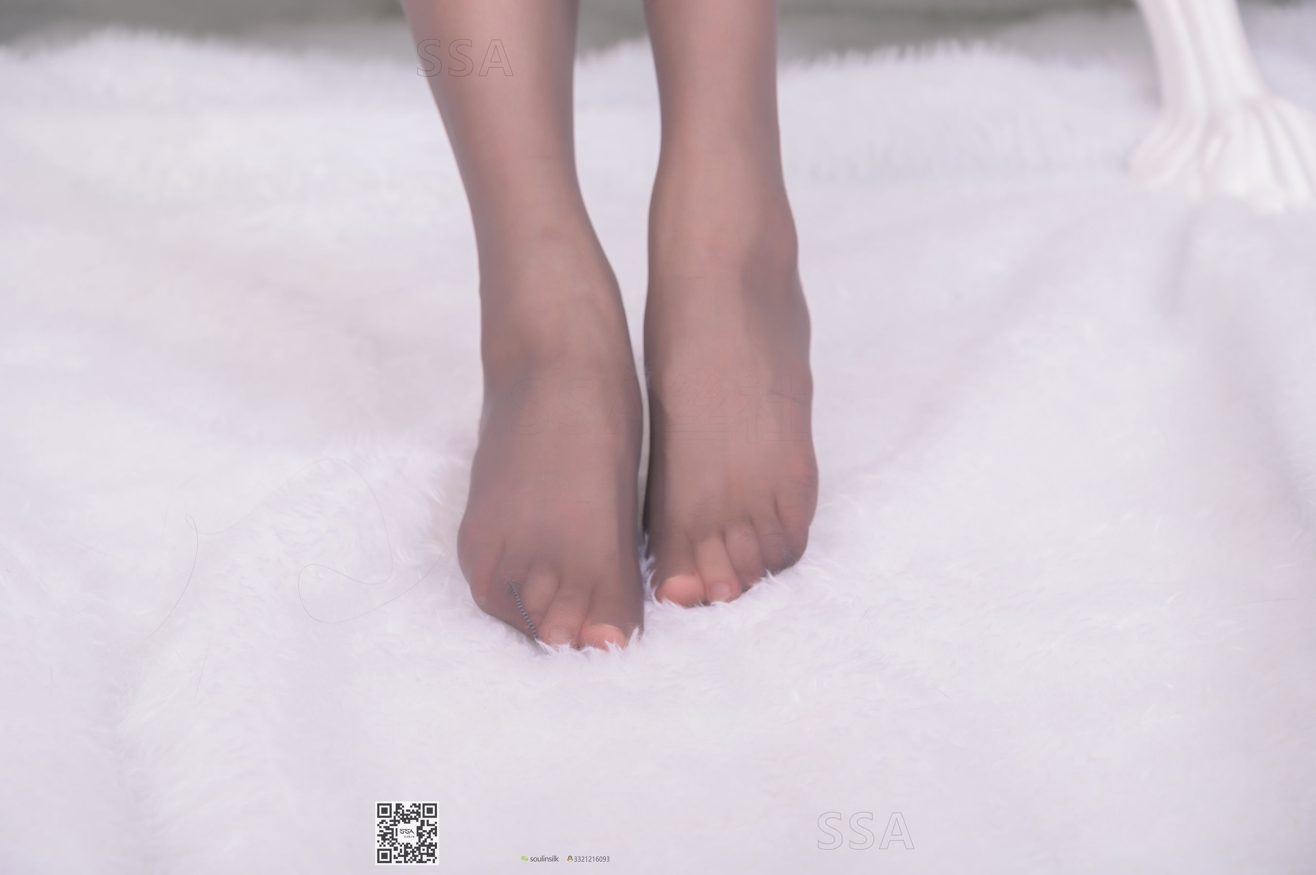 [SSA丝社]超清写真 No.170 君君 女秘书制服咖啡丝