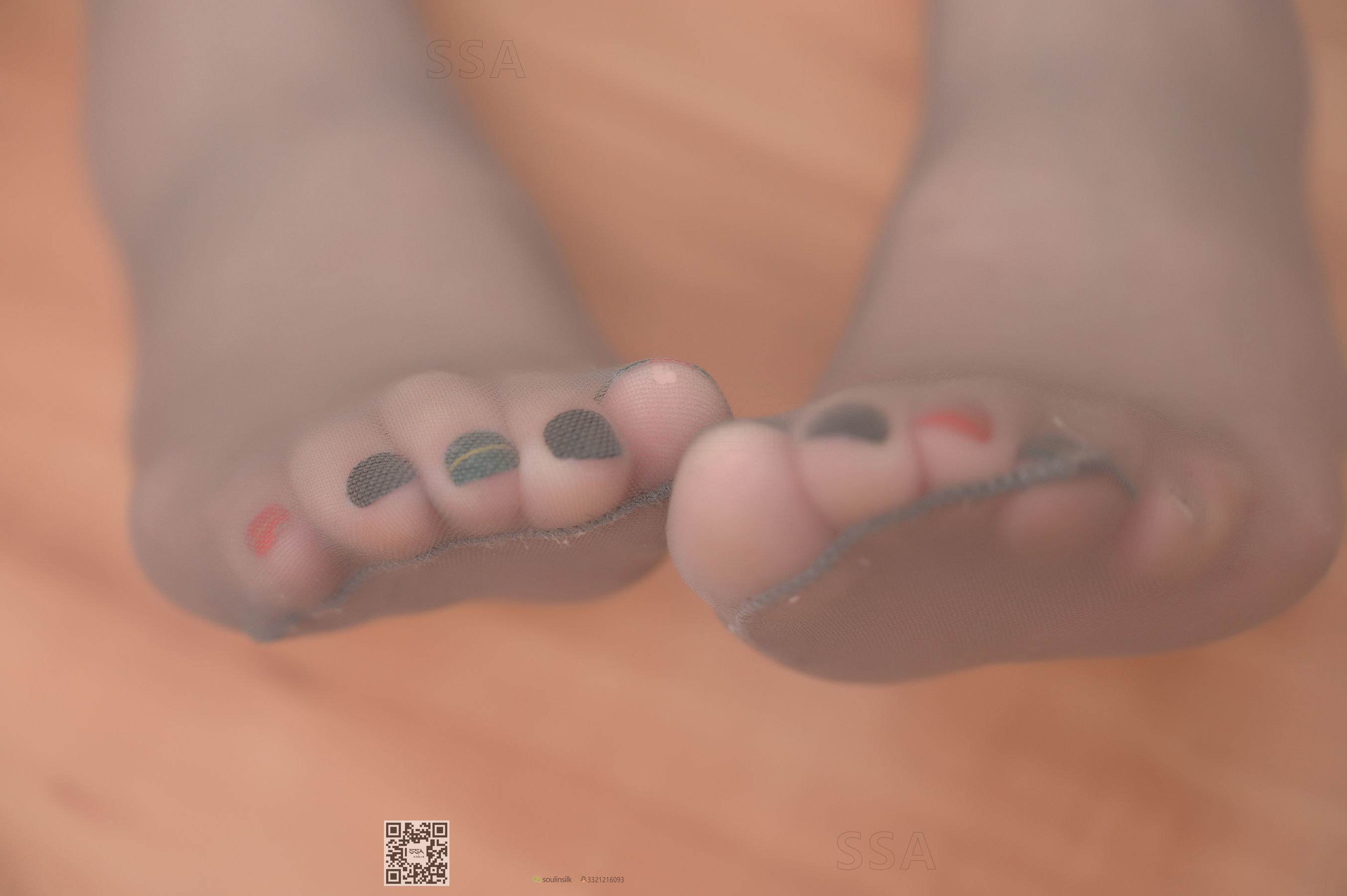 [SSA丝社]超清写真 No.178 大大 碎花连衣短裙