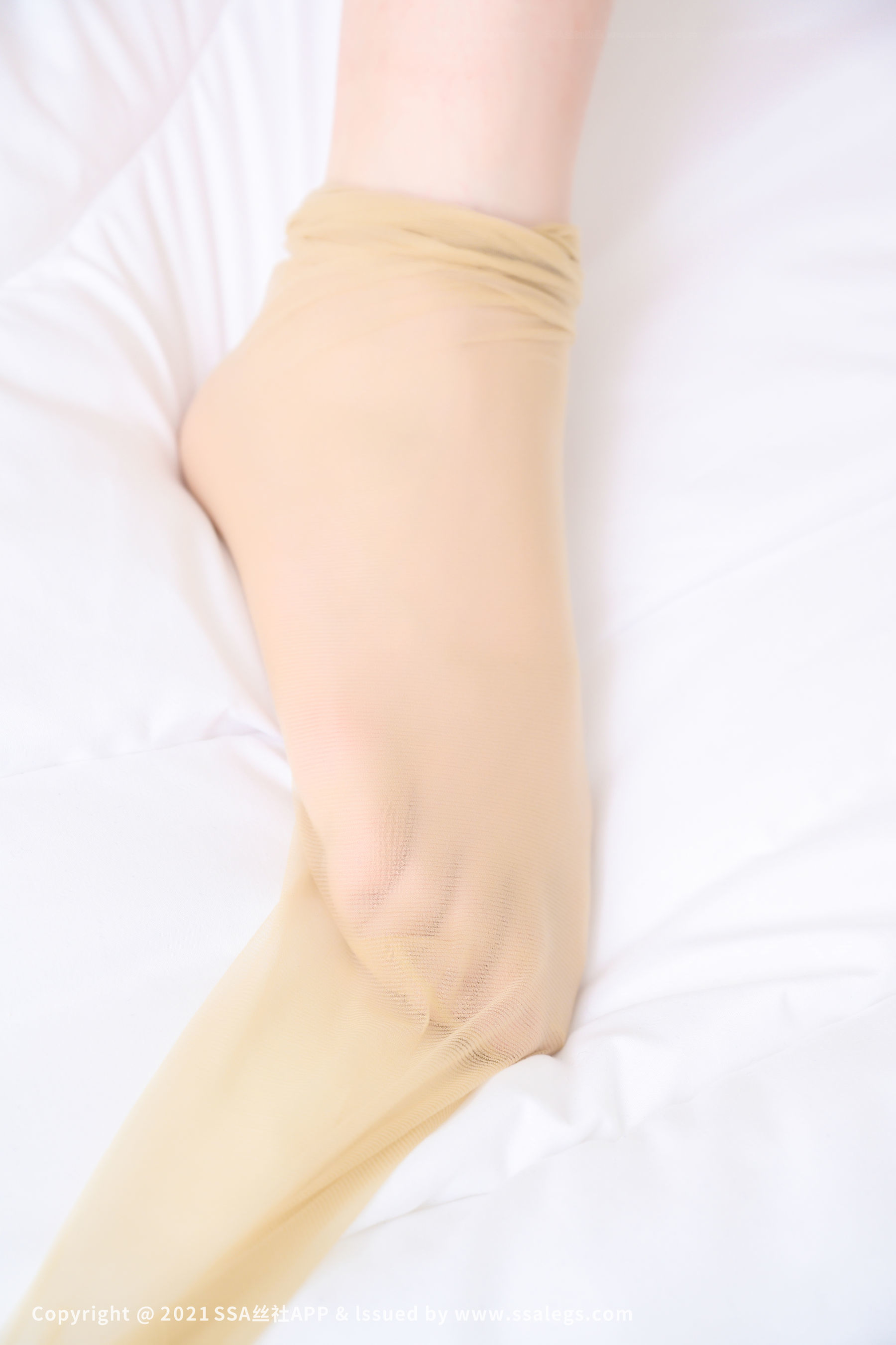 [SSA丝社]超清写真 No.721 模特薇薇 浪莎丝袜美脚（下）