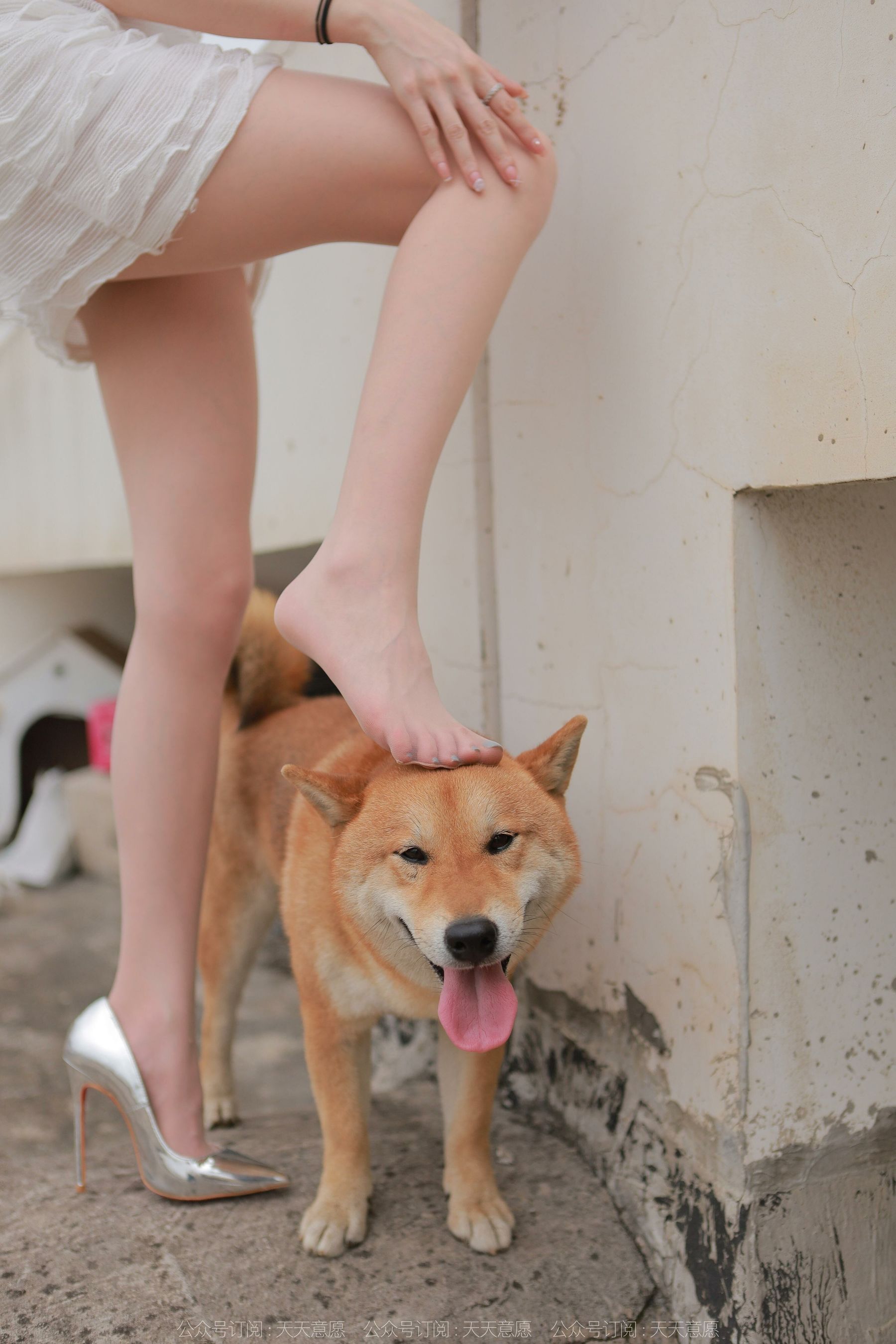[异思趣向IESS] 模特 佳爷 《12月女神佳爷》