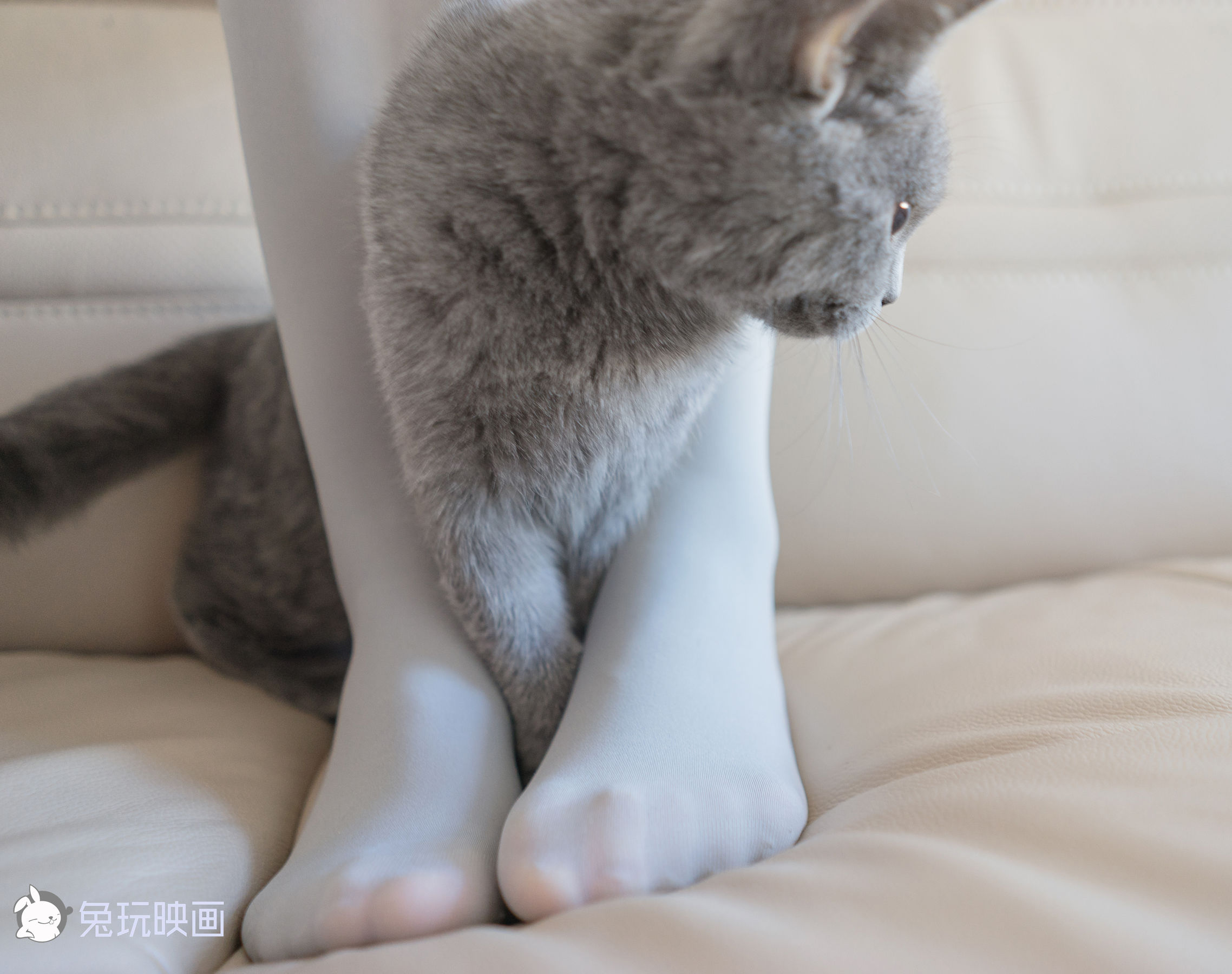 [兔玩映画] - 猫与少女
