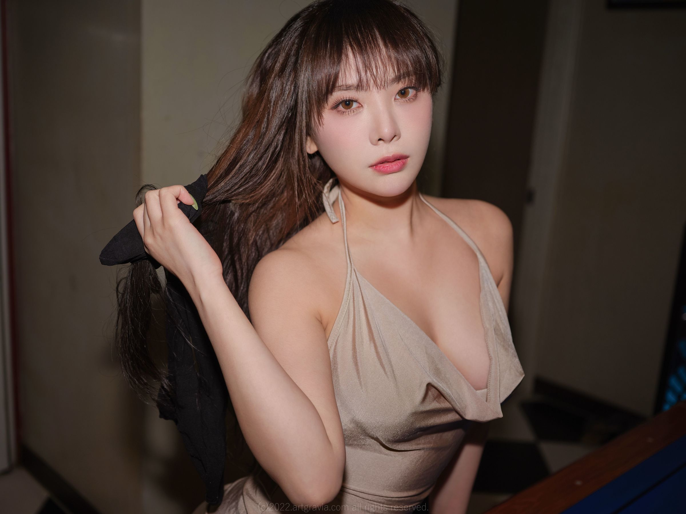 [ARTGRAVIA] VOL.391 Dami