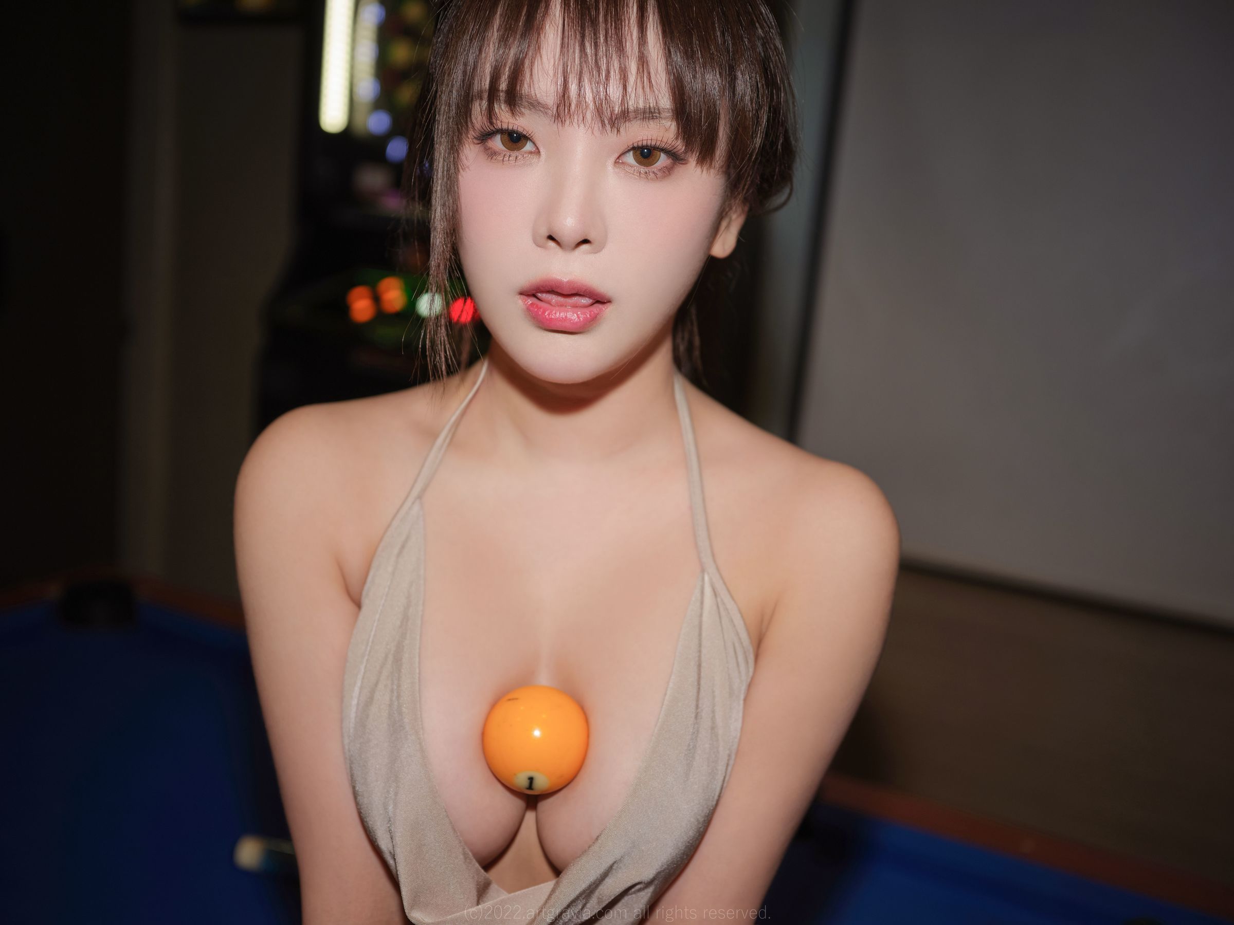 [ARTGRAVIA] VOL.391 Dami