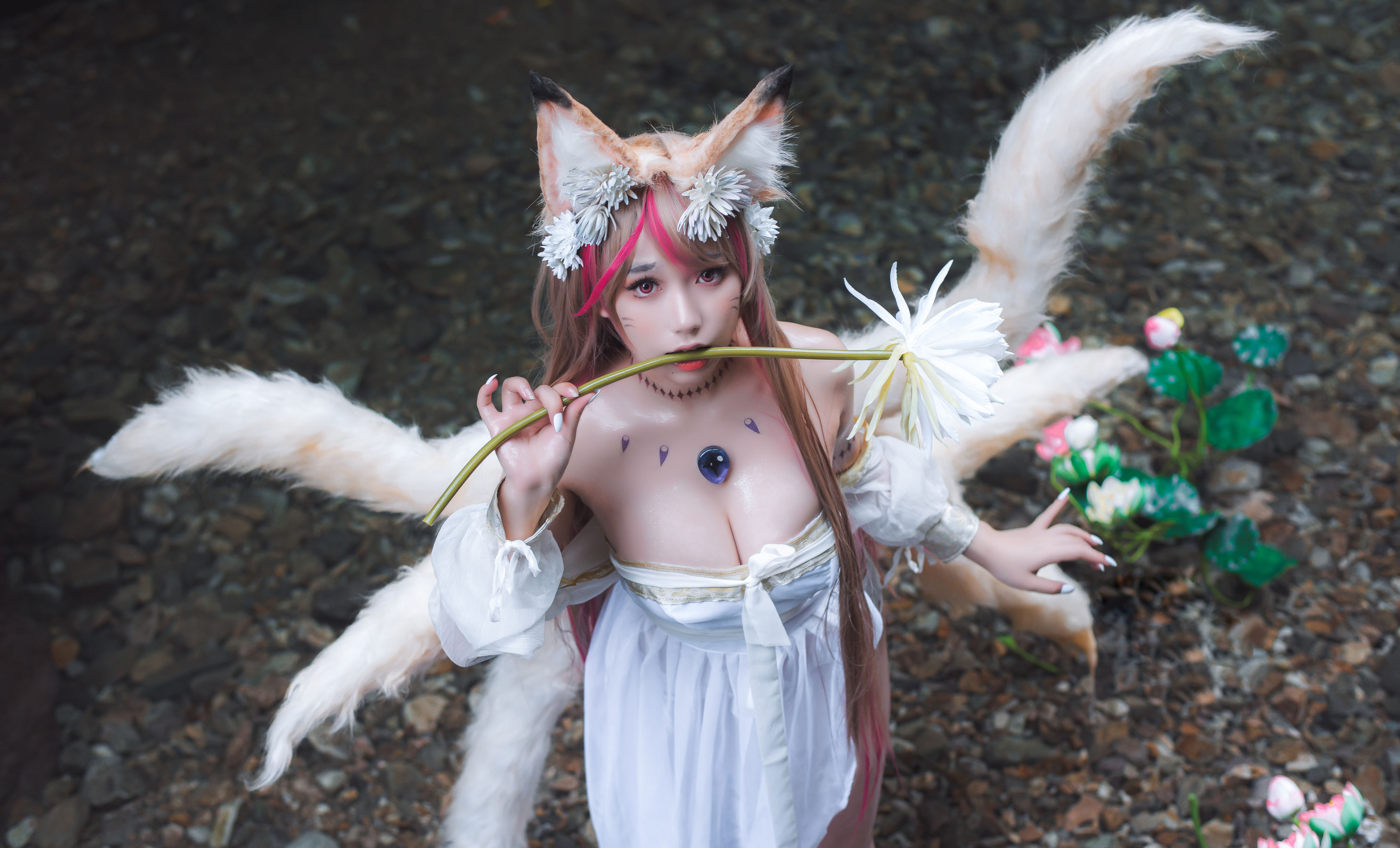 [福利COS] 一北亦北 - 天命之子 玉藻前原皮