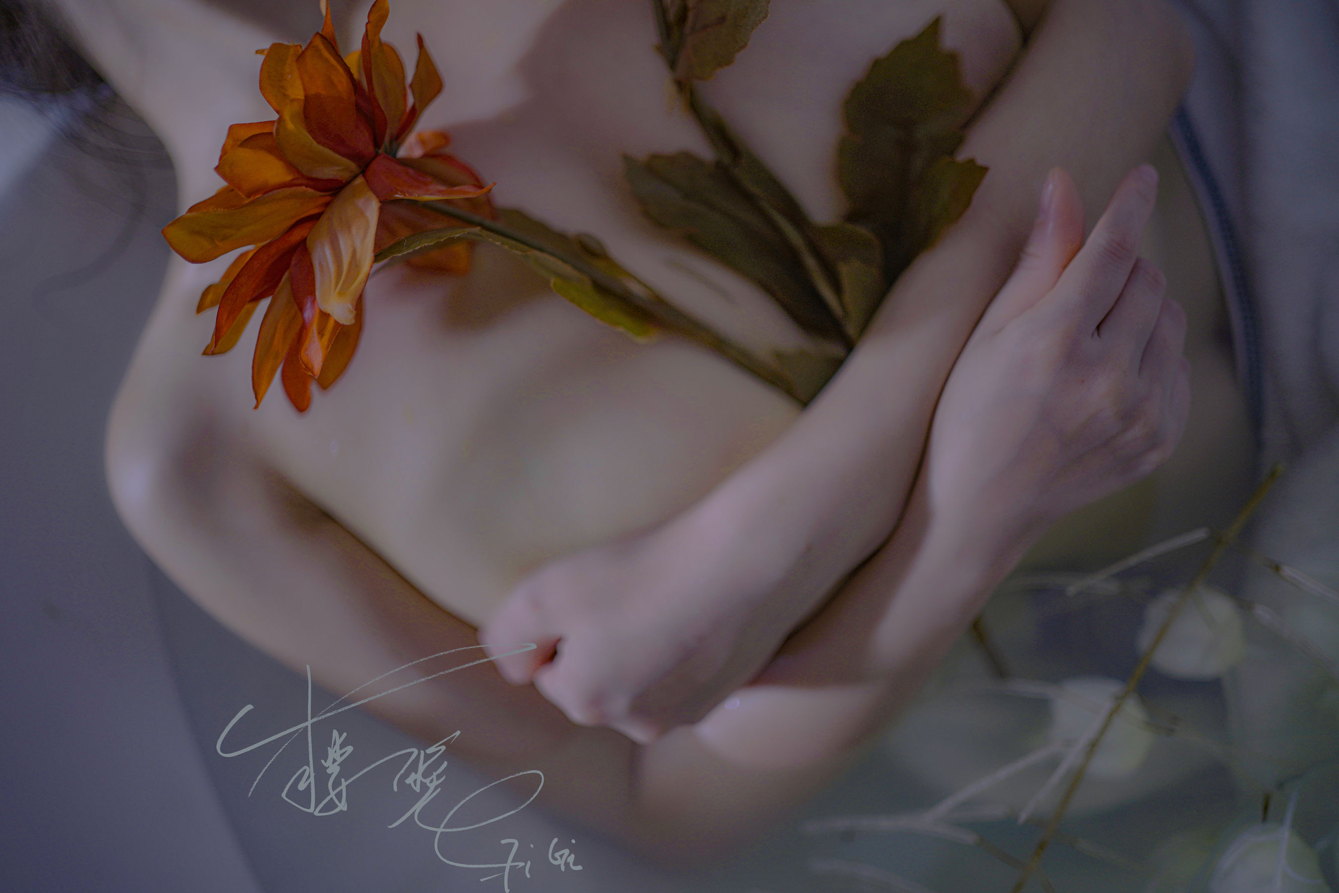 [福利COS] 网络红人樱晚gigi - 清衣.池