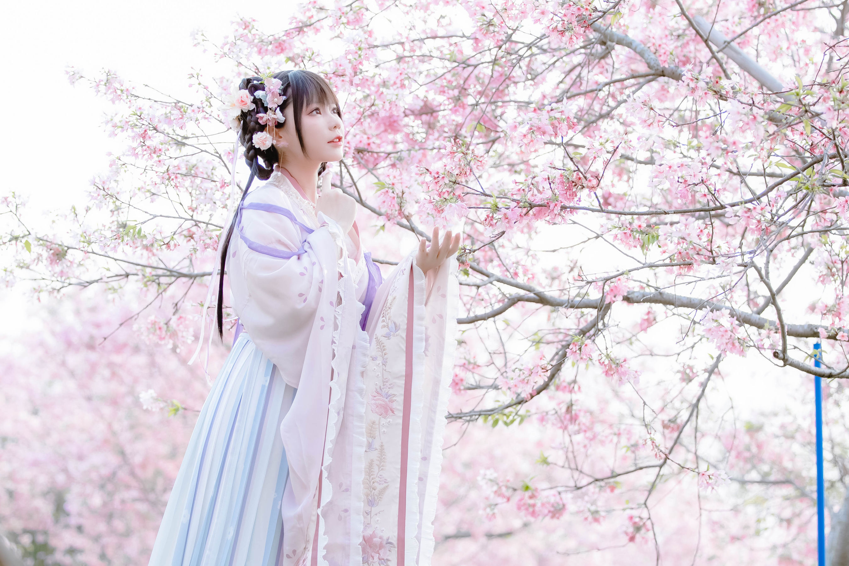 [福利COS] 萌妹子Nyako喵子 - 樱花汉服 花神祈愿
