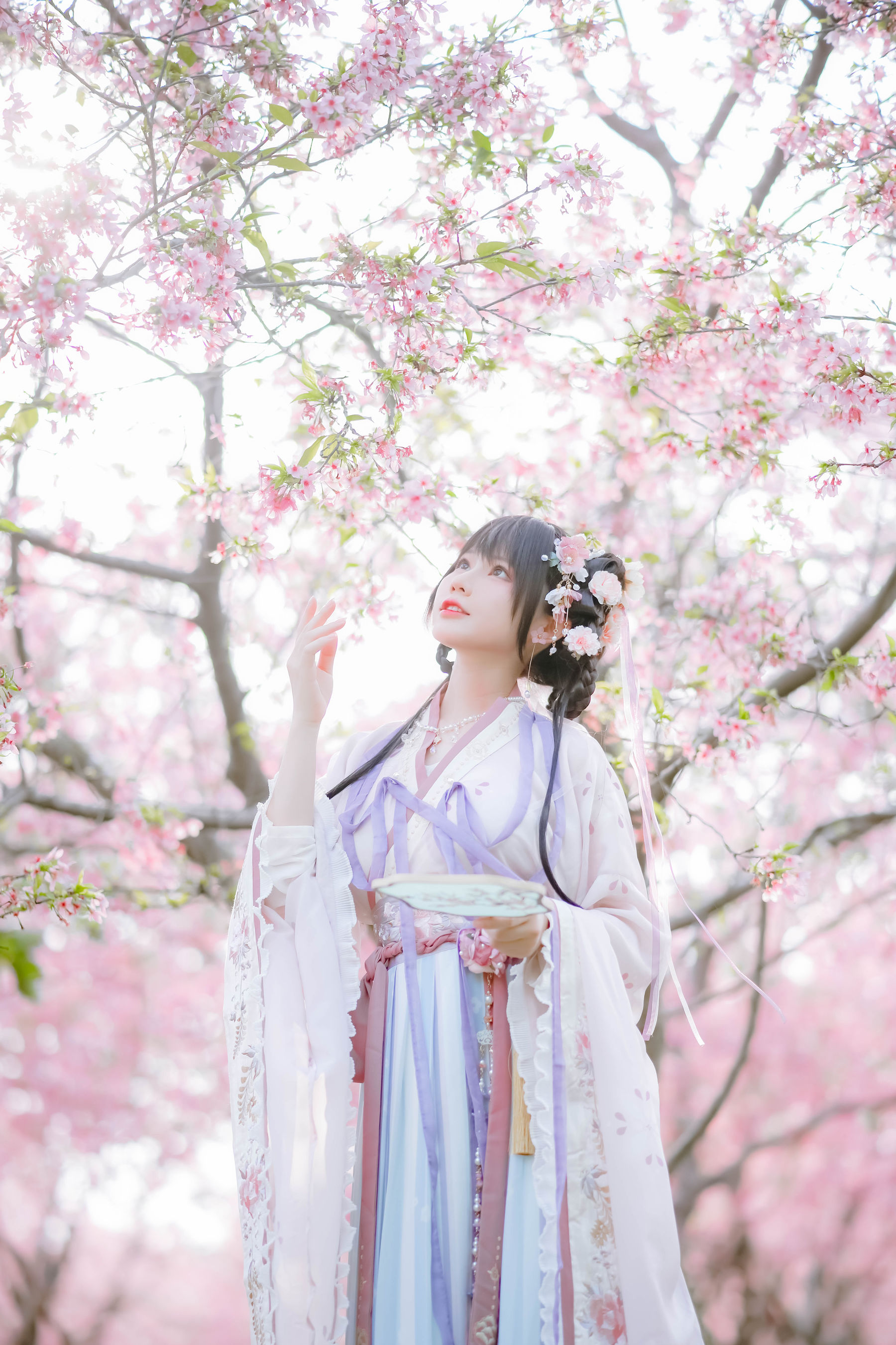 [福利COS] 萌妹子Nyako喵子 - 樱花汉服 花神祈愿