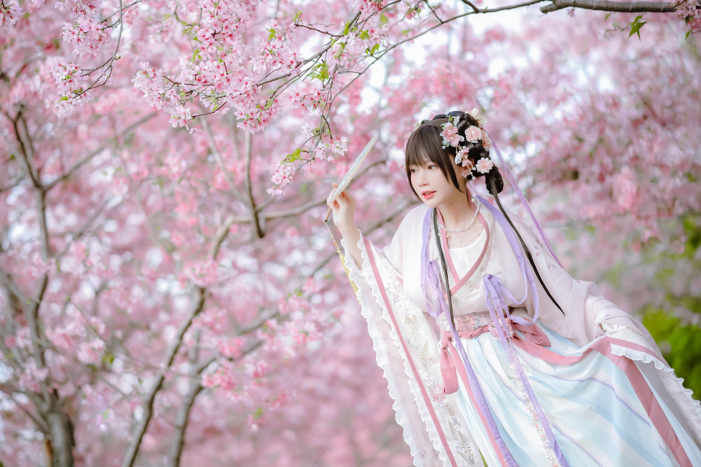 [福利COS] 萌妹子Nyako喵子 - 樱花汉服 花神祈愿