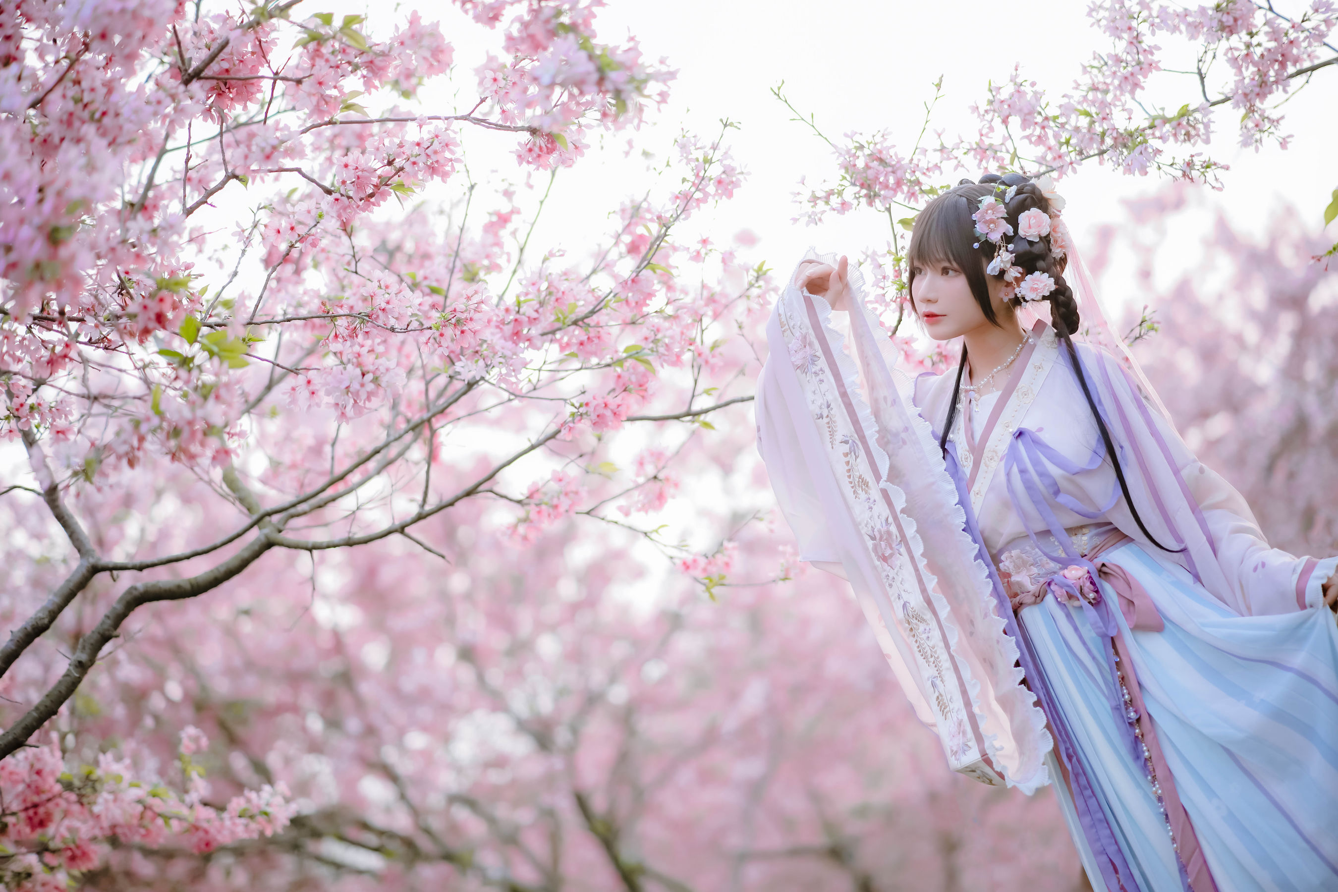 [福利COS] 萌妹子Nyako喵子 - 樱花汉服 花神祈愿