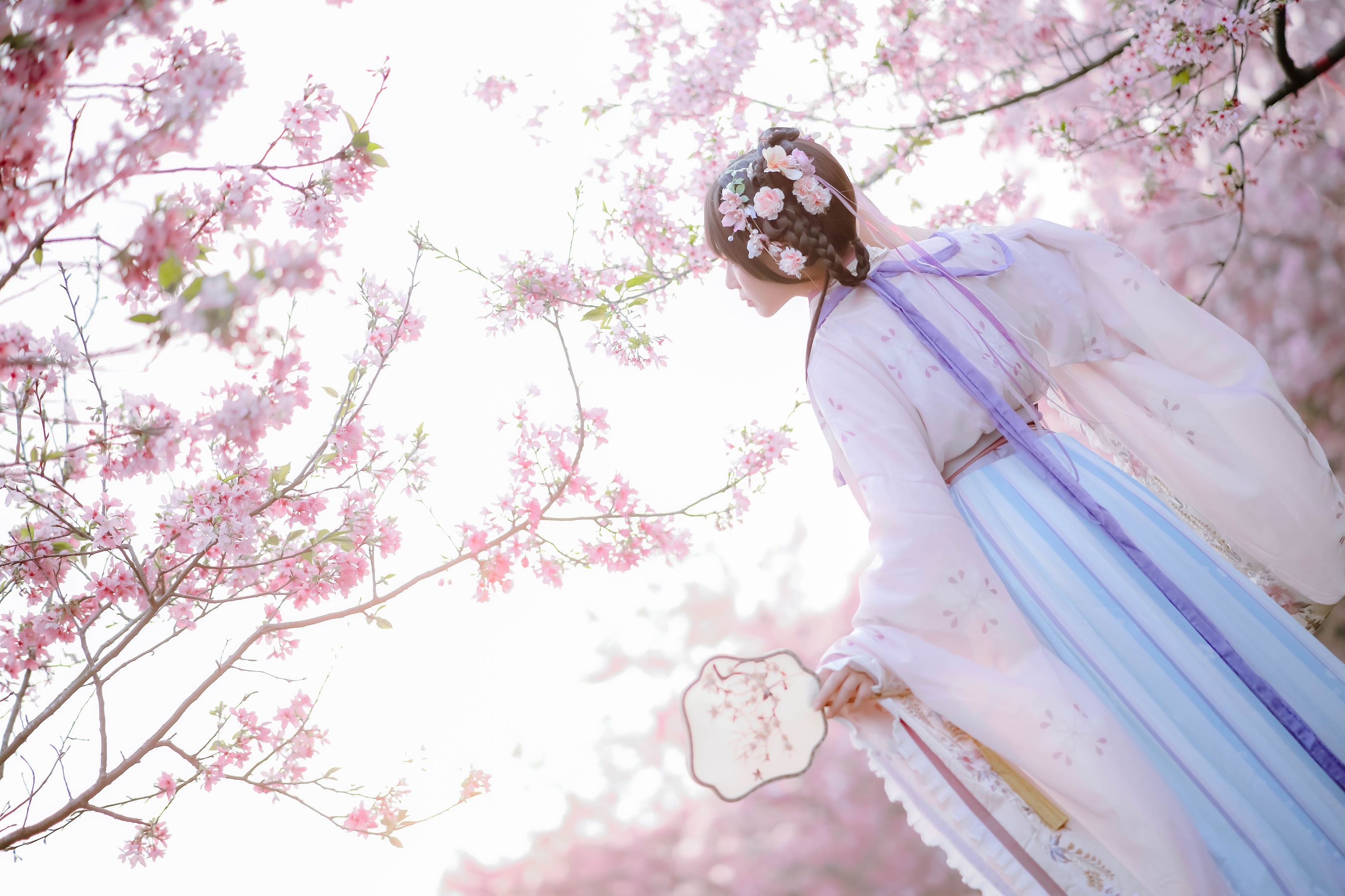 [福利COS] 萌妹子Nyako喵子 - 樱花汉服 花神祈愿