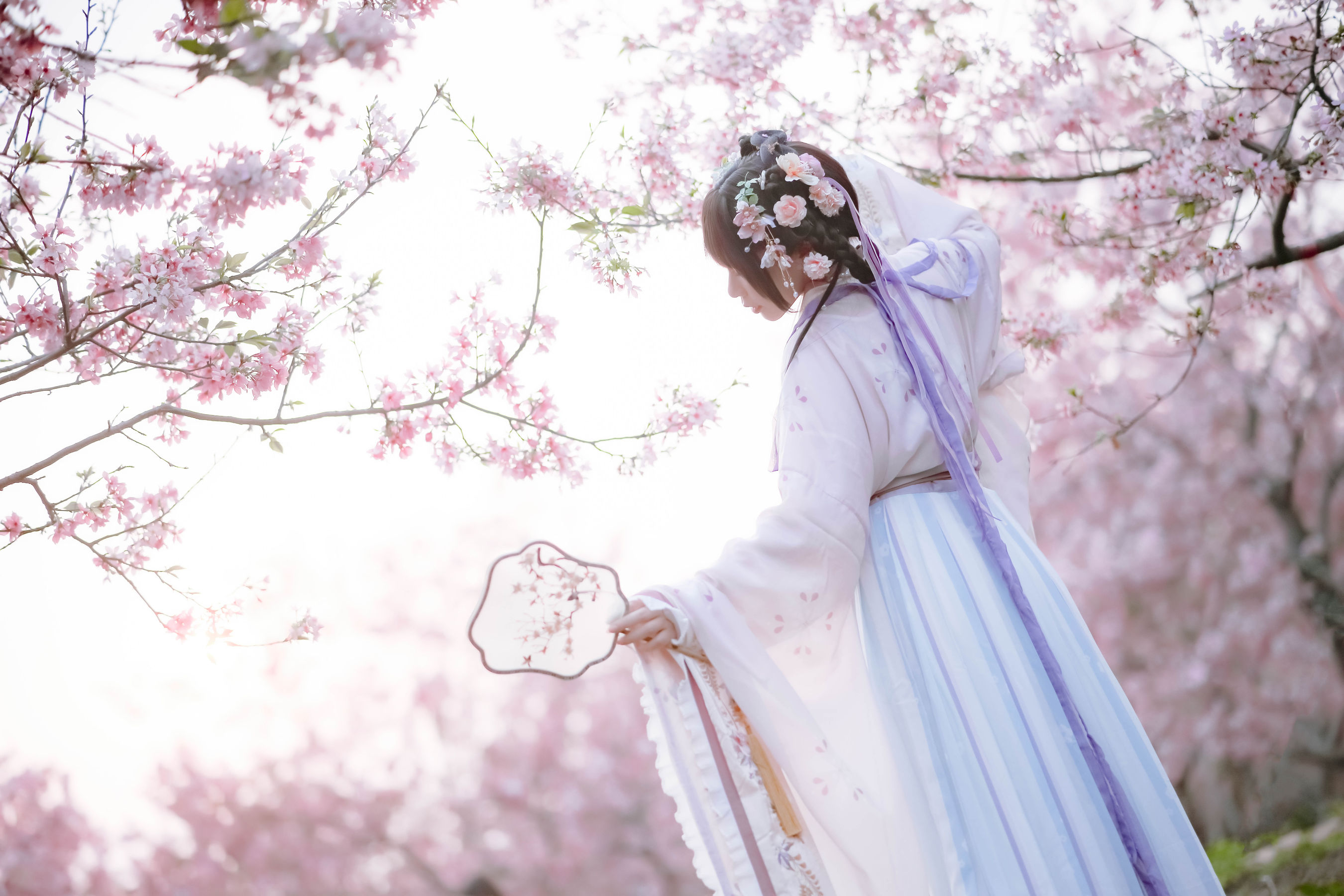 [福利COS] 萌妹子Nyako喵子 - 樱花汉服 花神祈愿