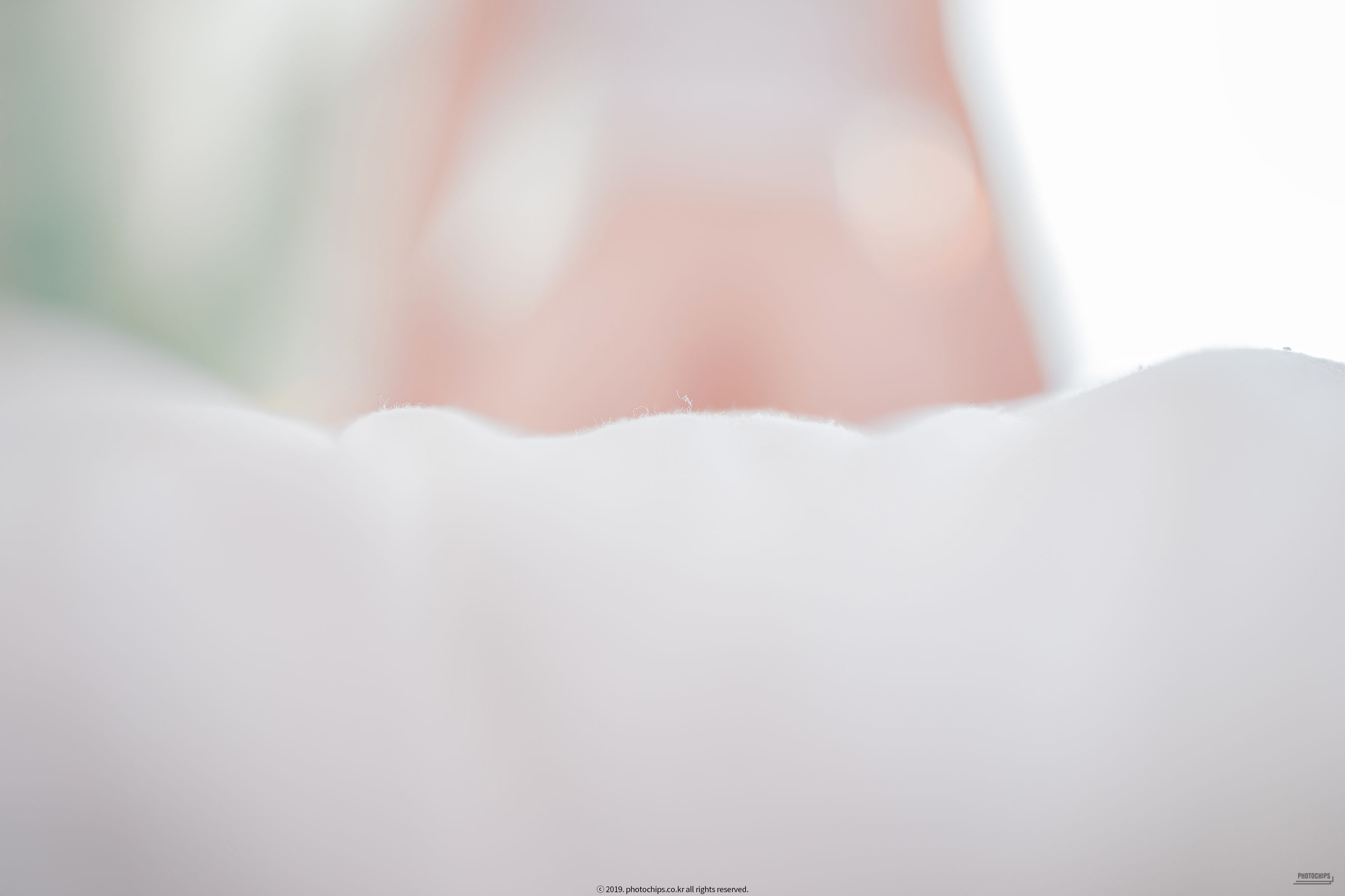 [Photochips] Vol.69 - Shaany