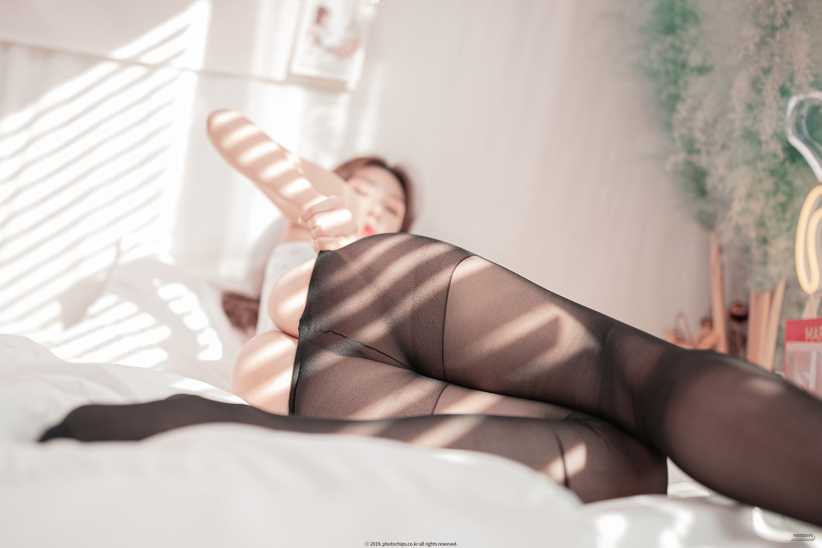 [Photochips] Vol.69 - Shaany