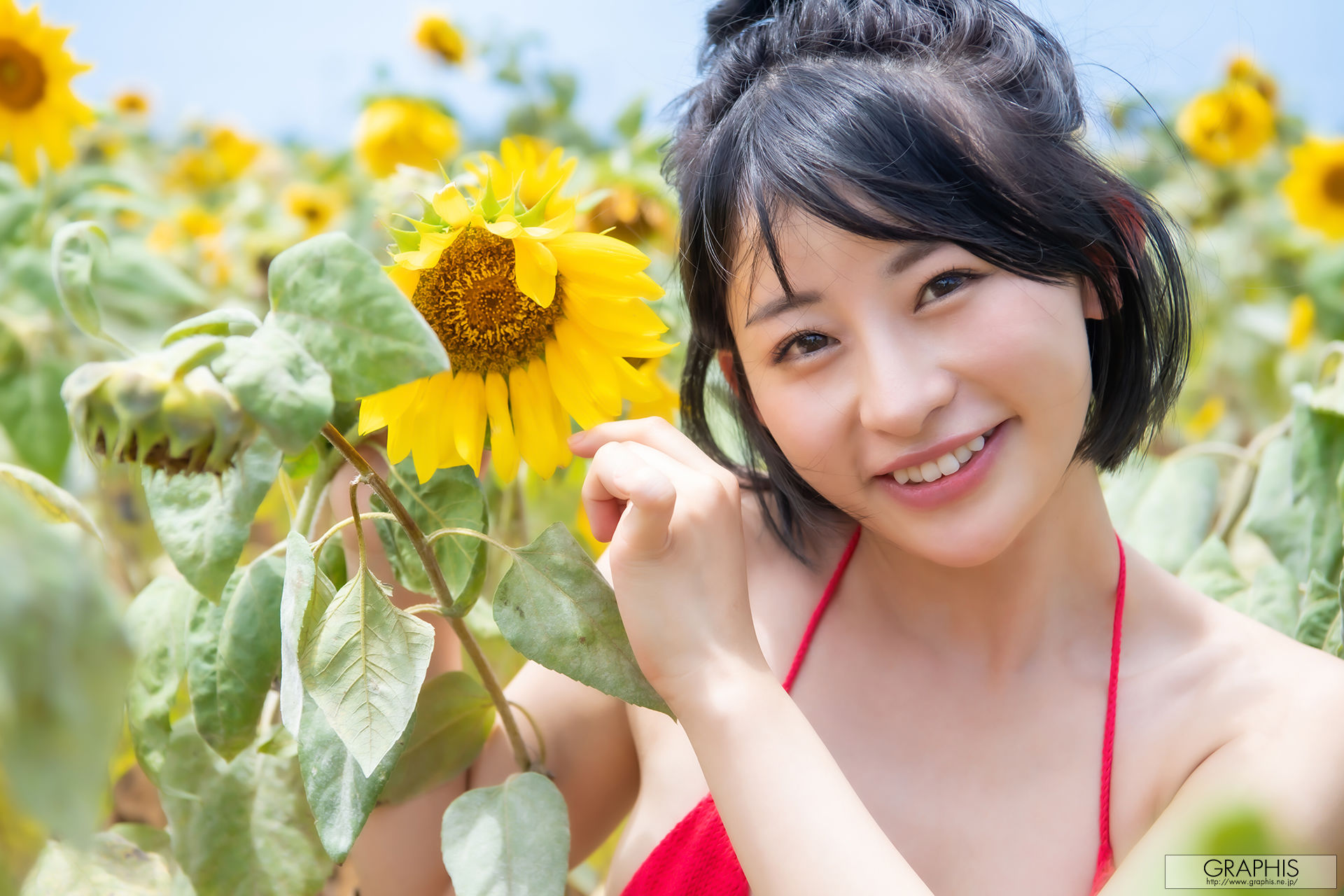 [Graphis Gals] NO.495 Mei Miyajima 宮島めい blooming