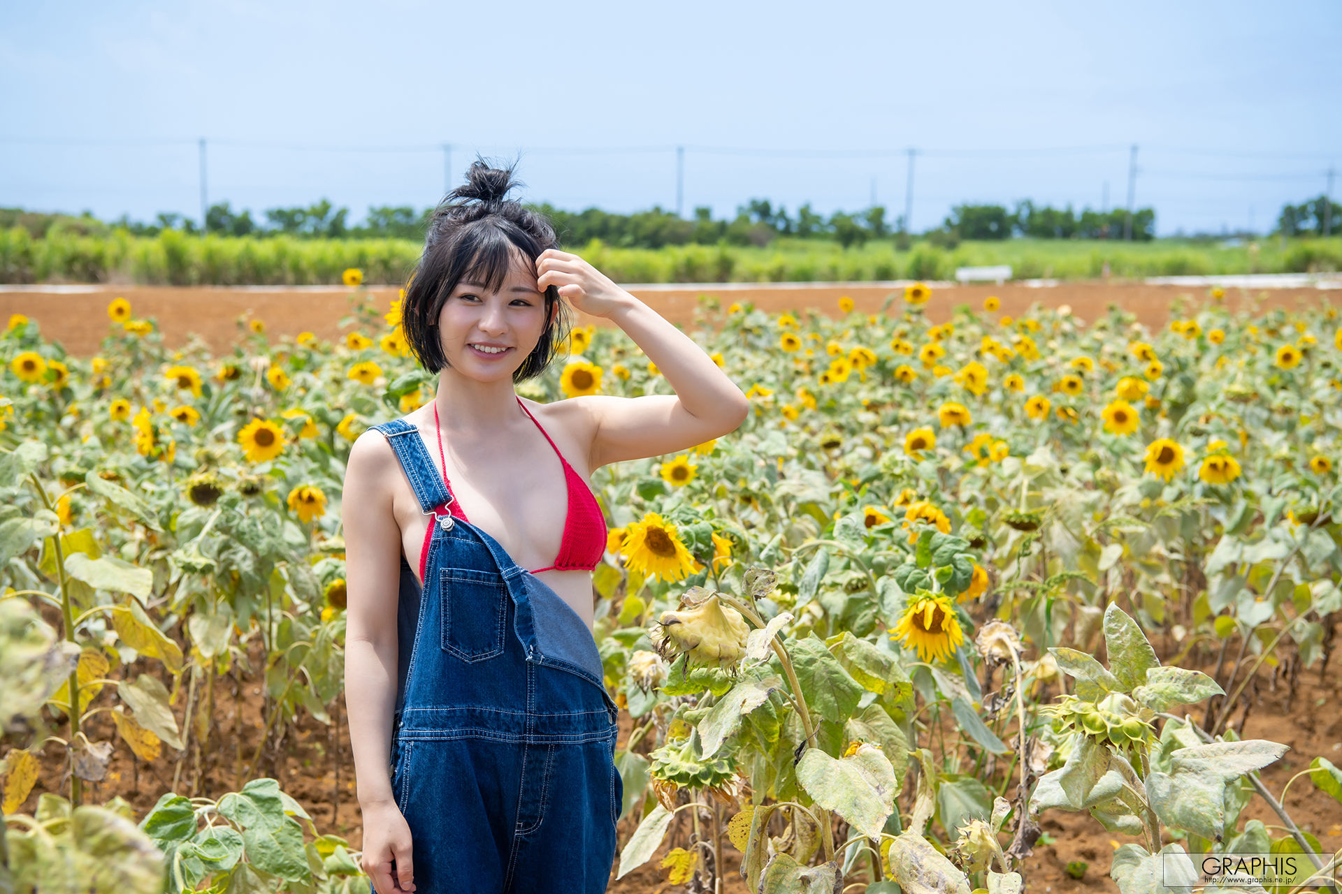 [Graphis Gals] NO.495 Mei Miyajima 宮島めい blooming