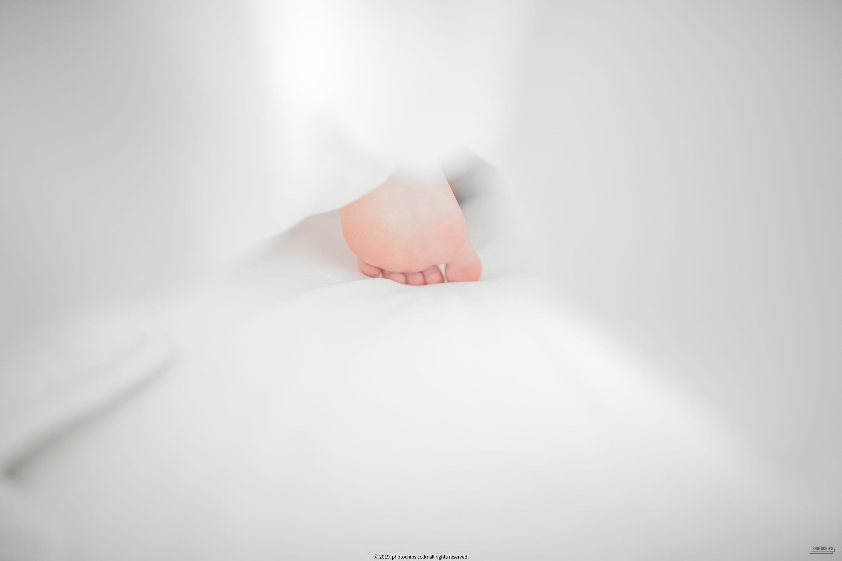 [Photochips] Vol.64 - No.02 Dami