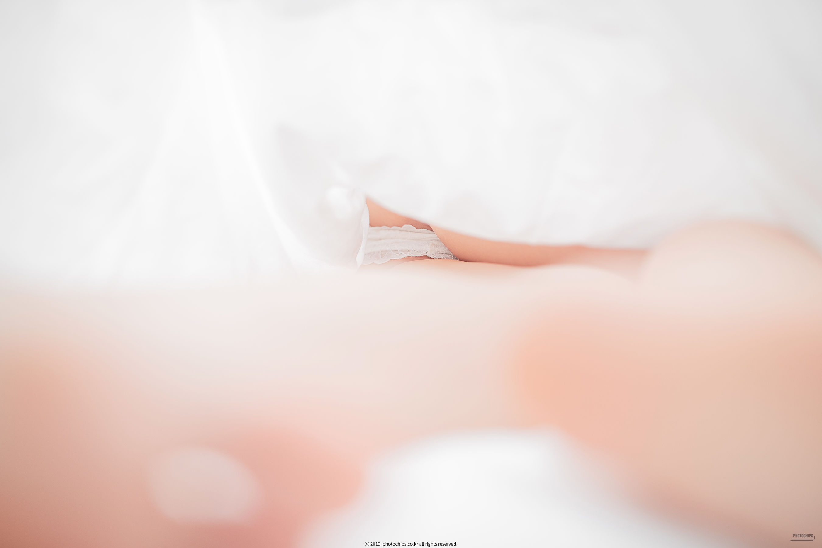 [Photochips] Vol.64 - No.02 Dami