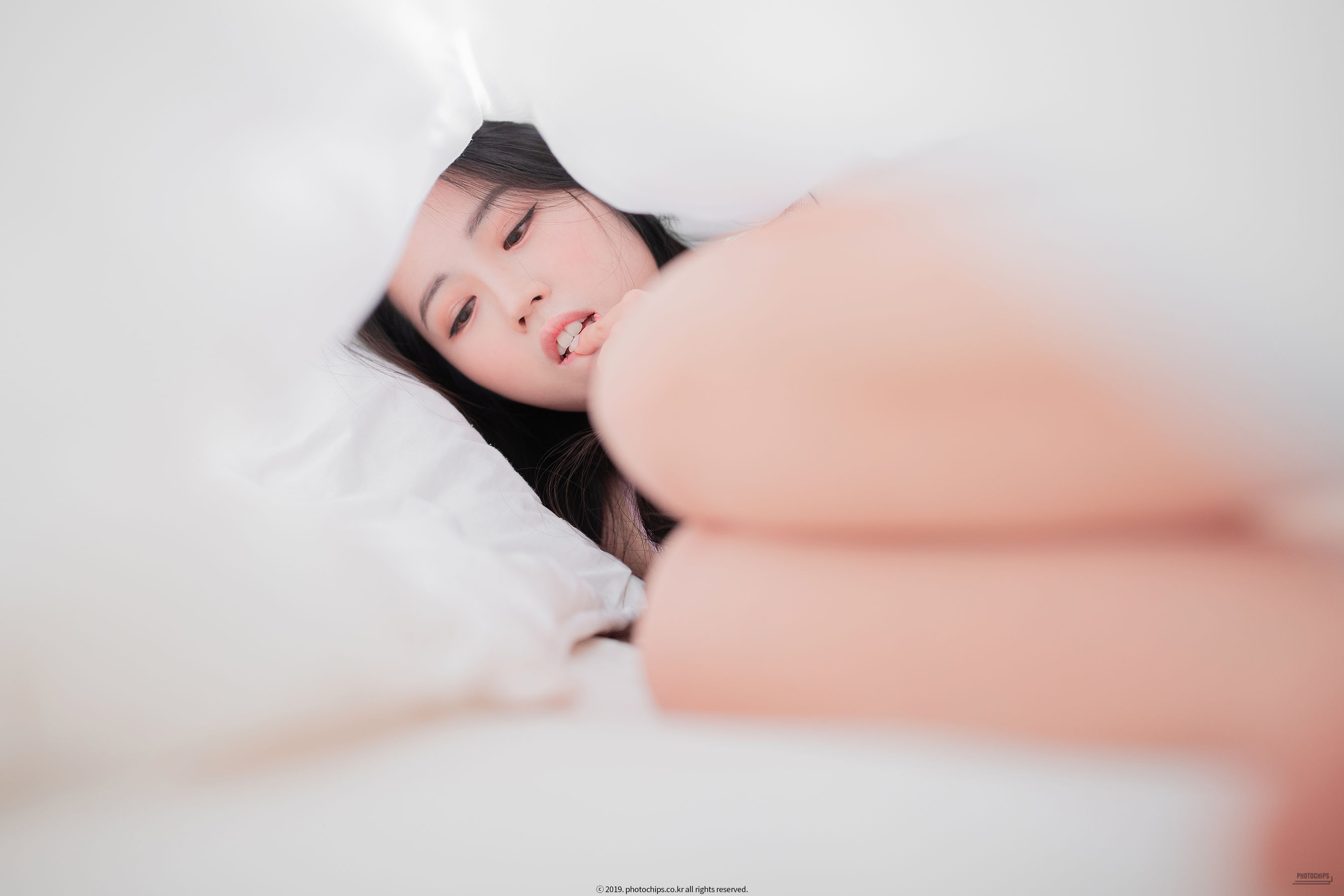 [Photochips] Vol.64 - No.02 Dami