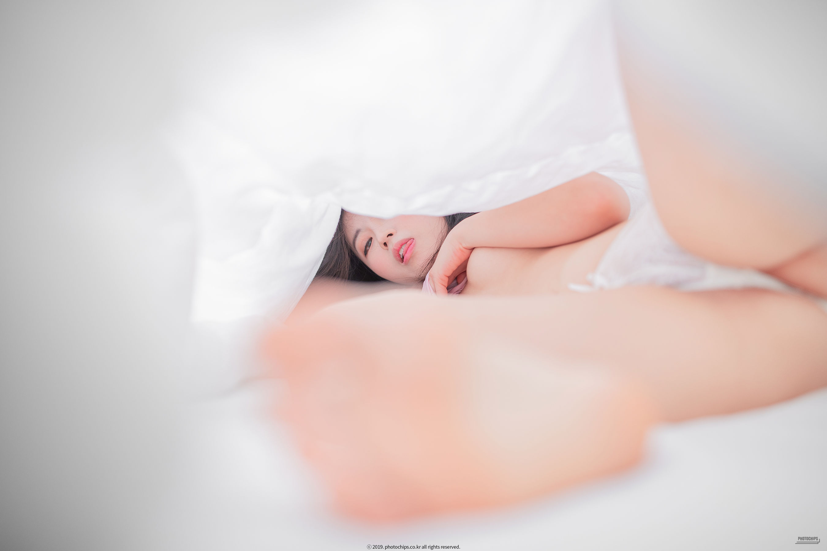 [Photochips] Vol.64 - No.02 Dami
