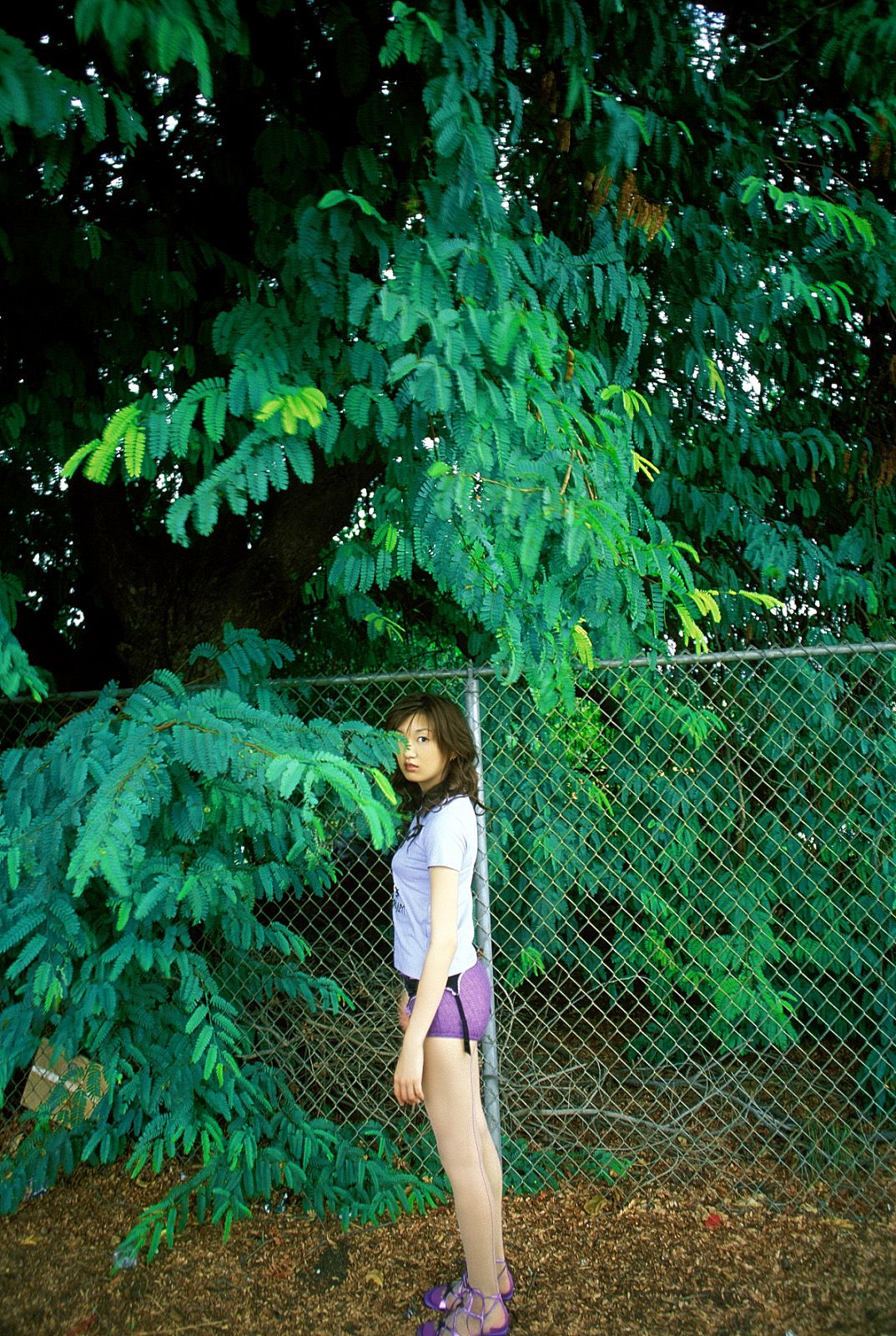 [NS Eyes] SF-No.185 Asuka Yanagi 柳明日香