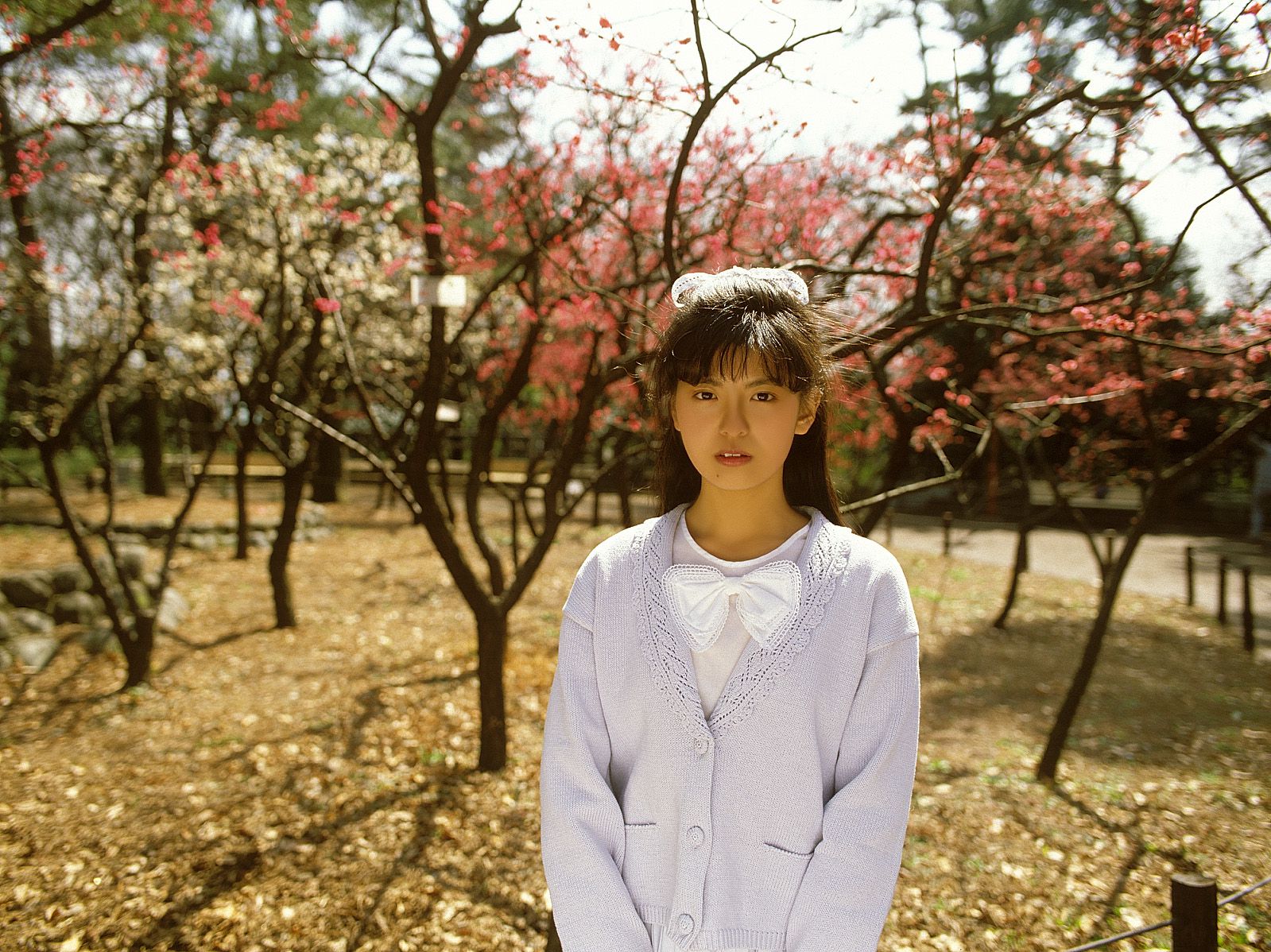 [NS Eyes] SF-No.212 Yoko Minamino 南野陽子