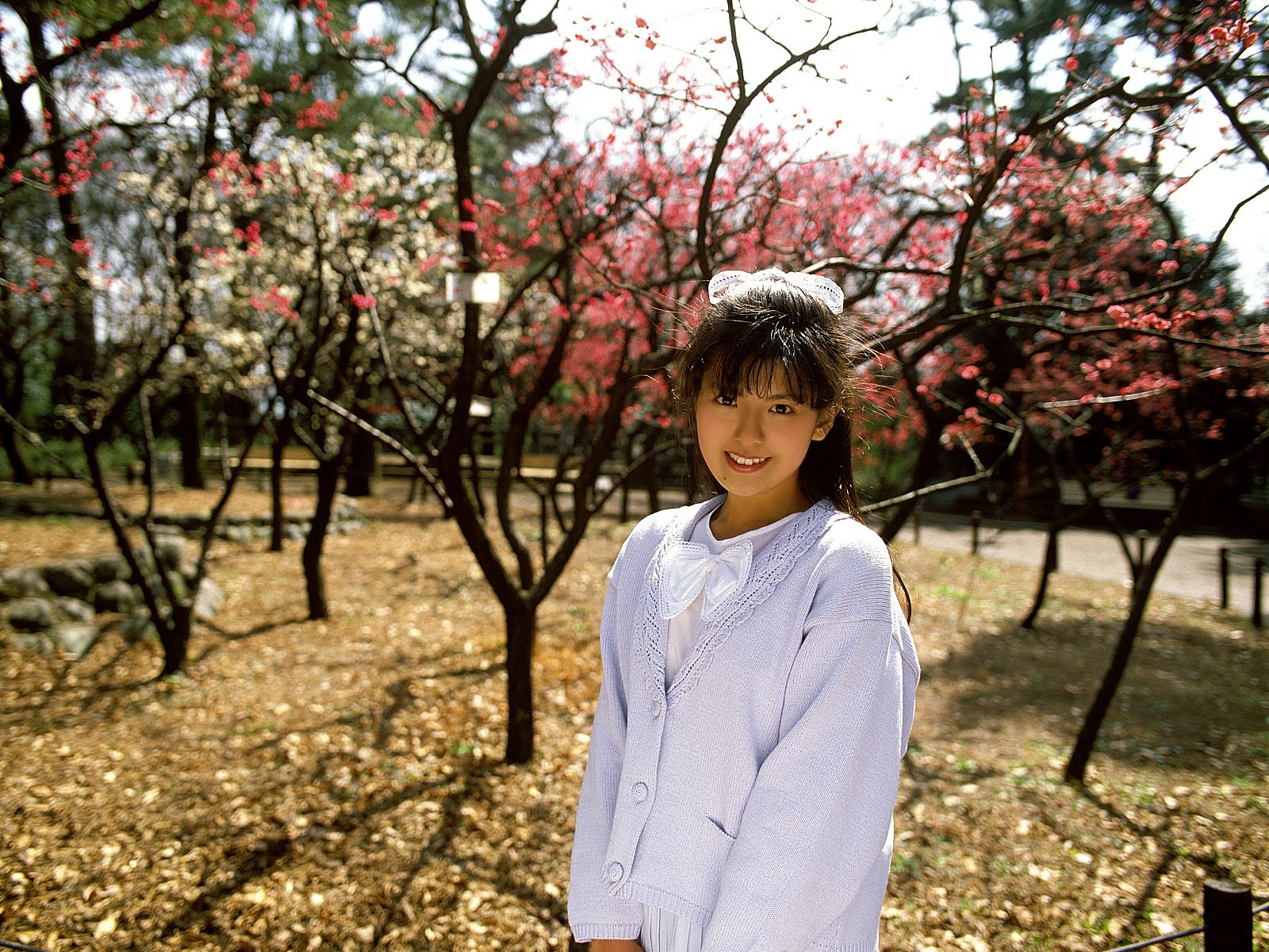 [NS Eyes] SF-No.212 Yoko Minamino 南野陽子