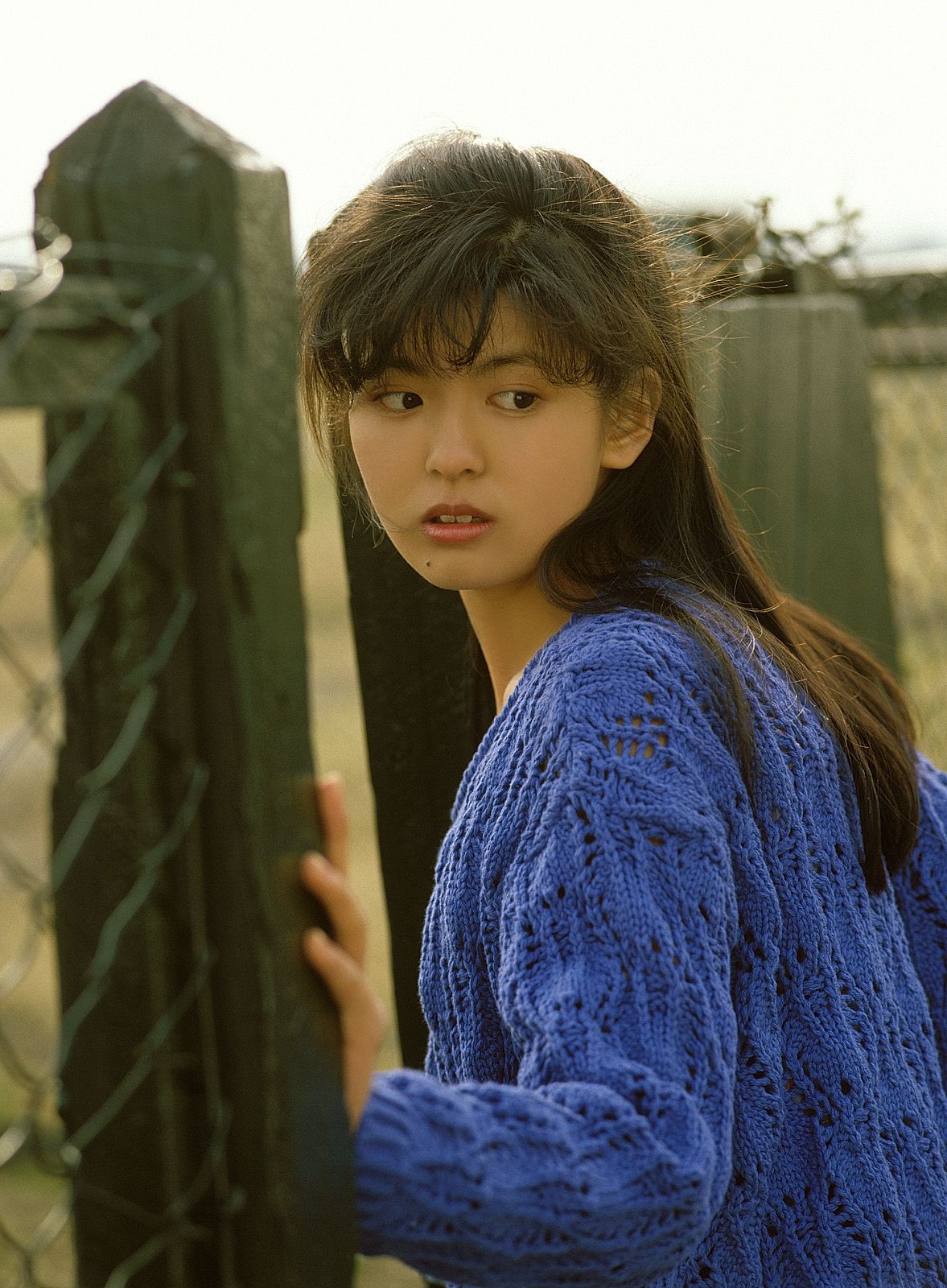 [NS Eyes] SF-No.212 Yoko Minamino 南野陽子