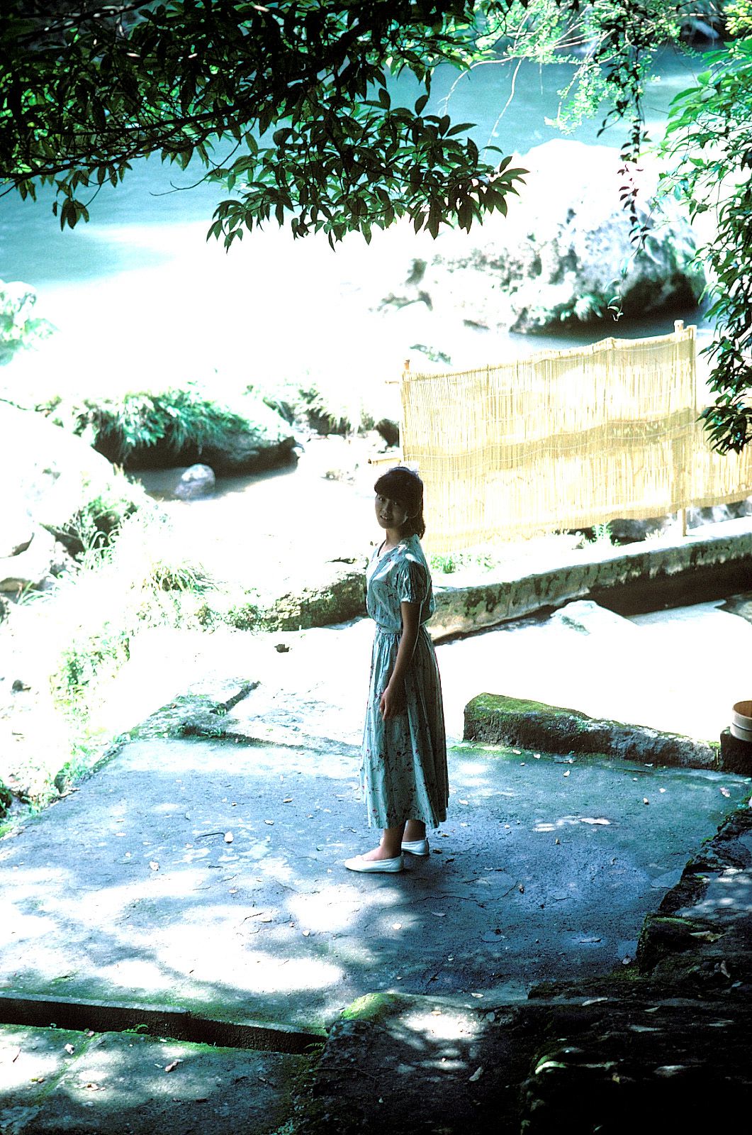 [NS Eyes] SF-No.213 Yoko Minamino 南野阳子/南野陽子