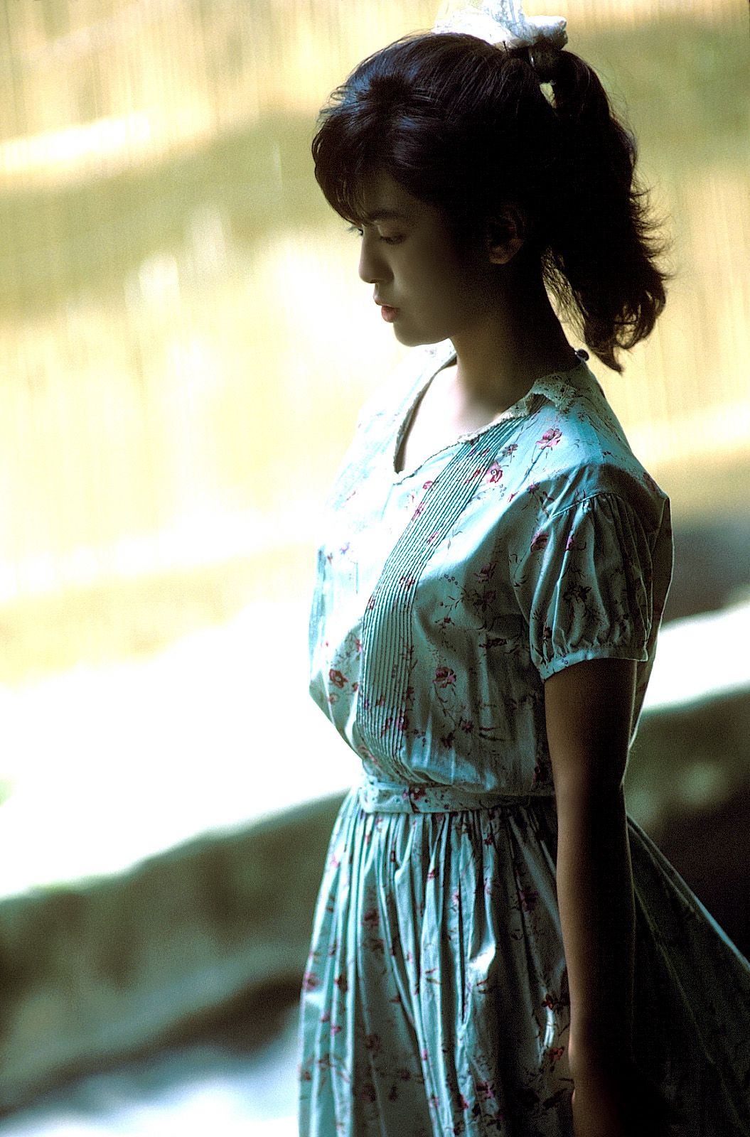 [NS Eyes] SF-No.213 Yoko Minamino 南野阳子/南野陽子