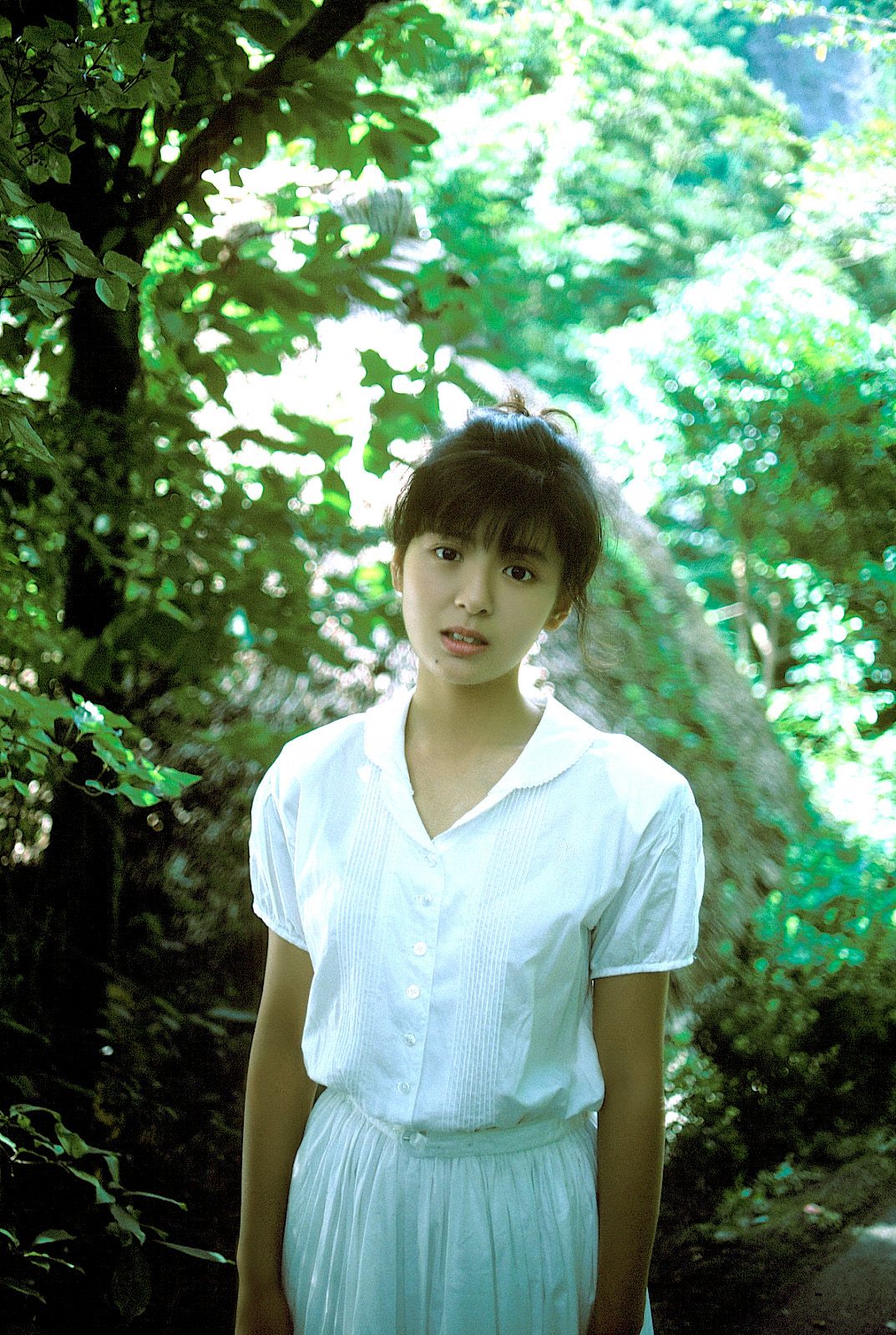 [NS Eyes] SF-No.213 Yoko Minamino 南野阳子/南野陽子