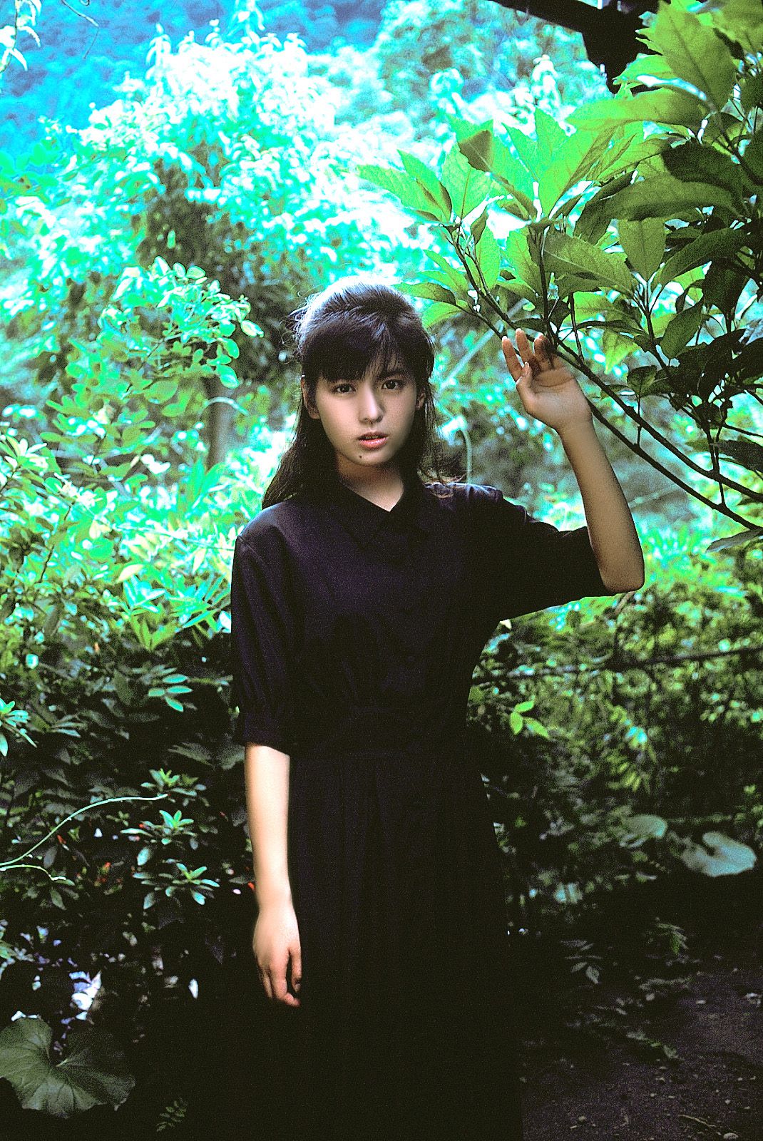[NS Eyes] SF-No.213 Yoko Minamino 南野阳子/南野陽子