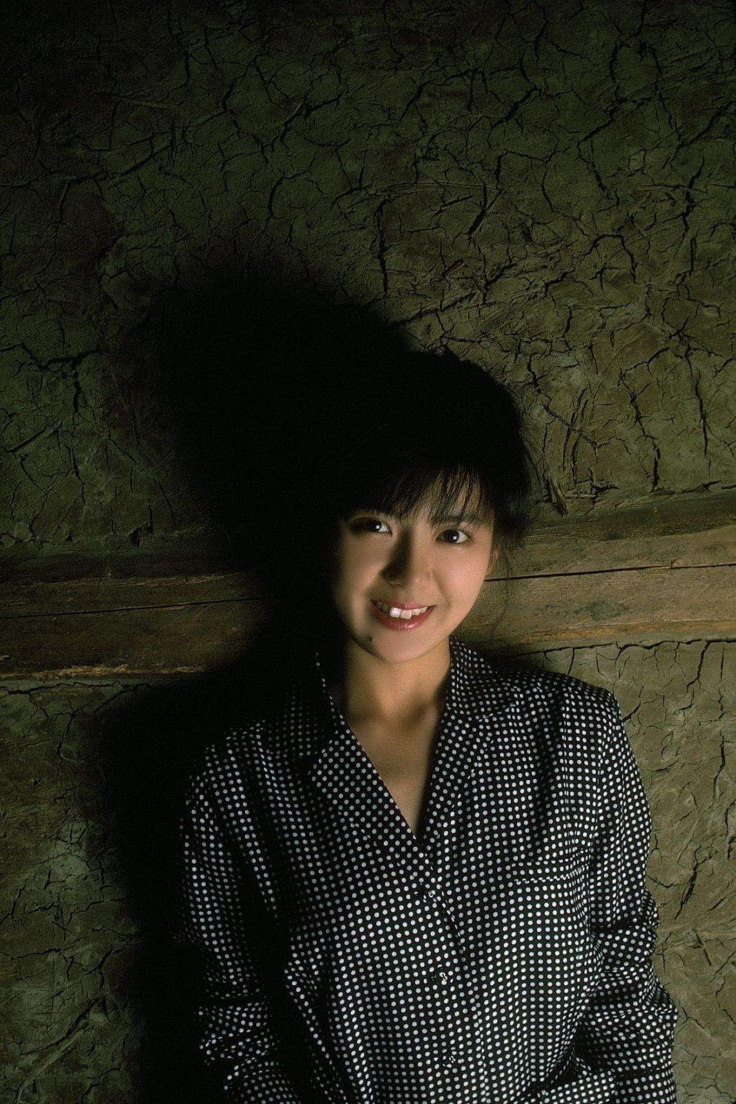 [NS Eyes] SF-No.213 Yoko Minamino 南野阳子/南野陽子