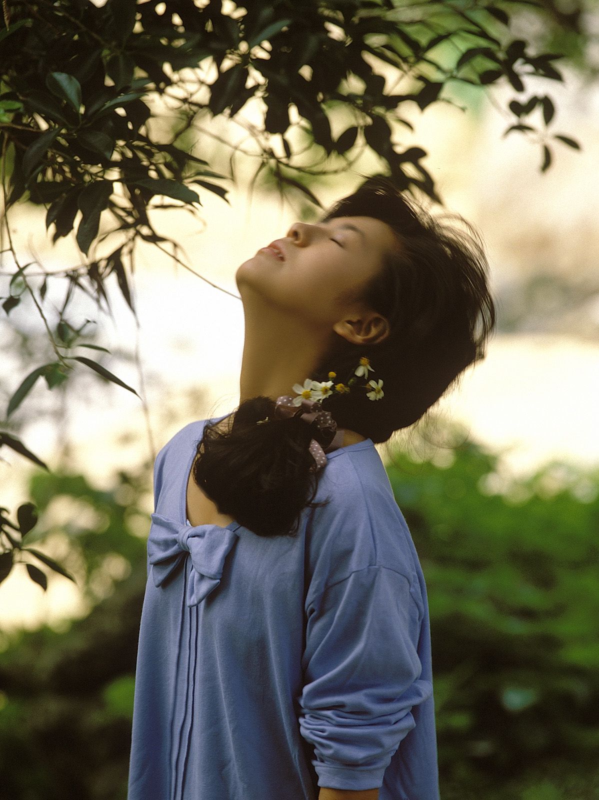 [NS Eyes] SF-No.214 Yoko Minamino 南野阳子
