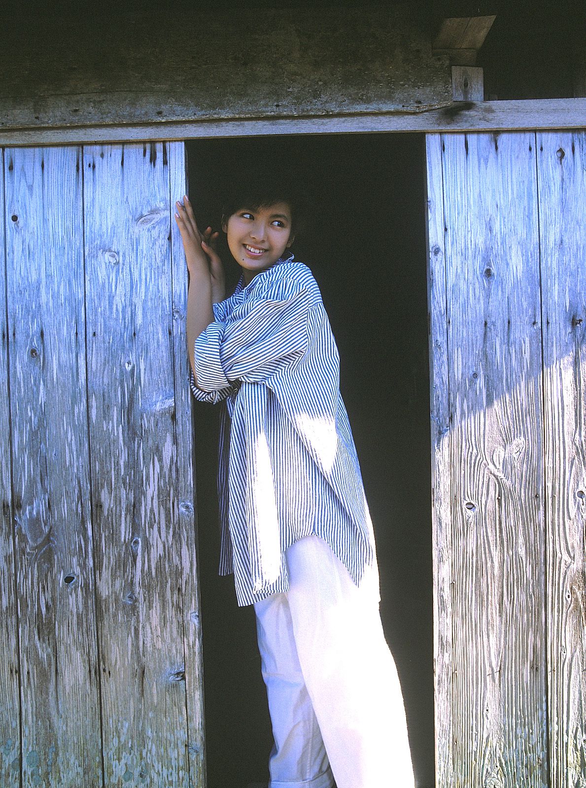 [NS Eyes] SF-No.214 Yoko Minamino 南野阳子