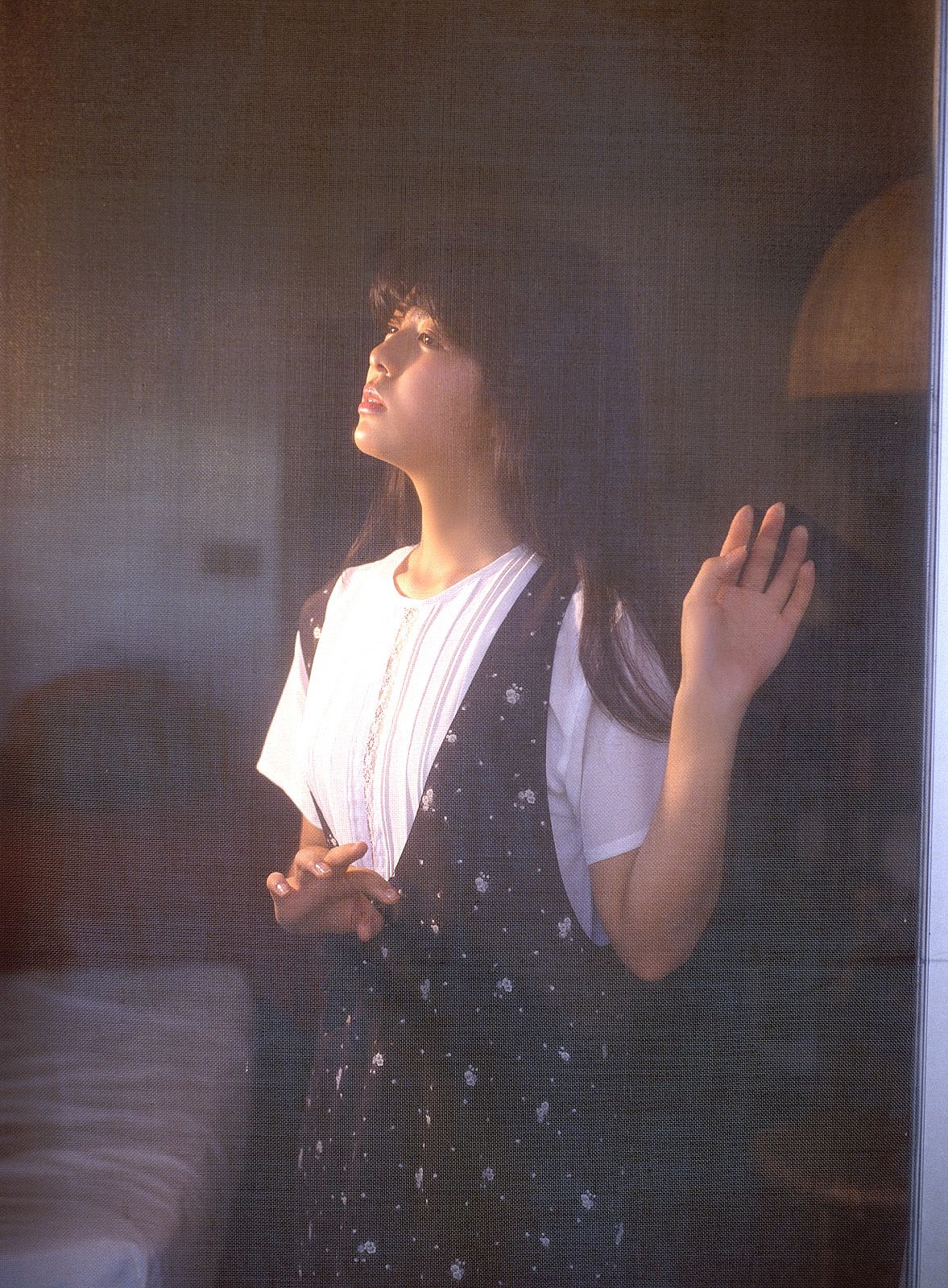 [NS Eyes] SF-No.214 Yoko Minamino 南野阳子