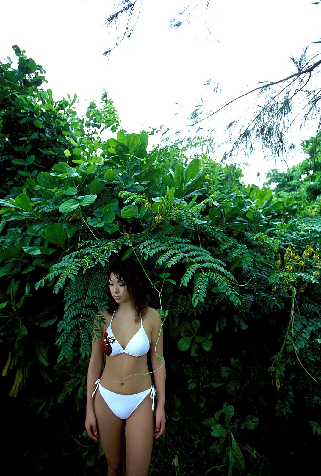 [NS Eyes] SF-No.227 Namiko Wakabayashi 若林菜美子