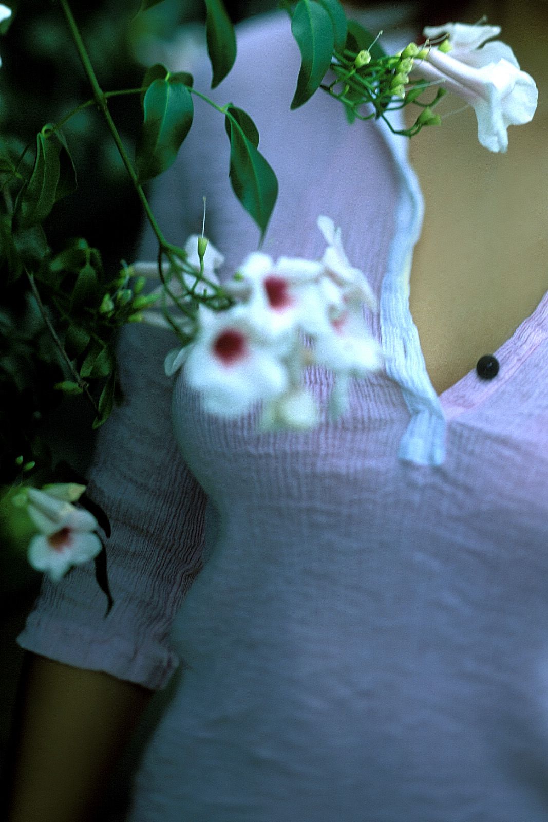 [NS Eyes] SF-No.228 Namiko Wakabayashi 若林菜美子