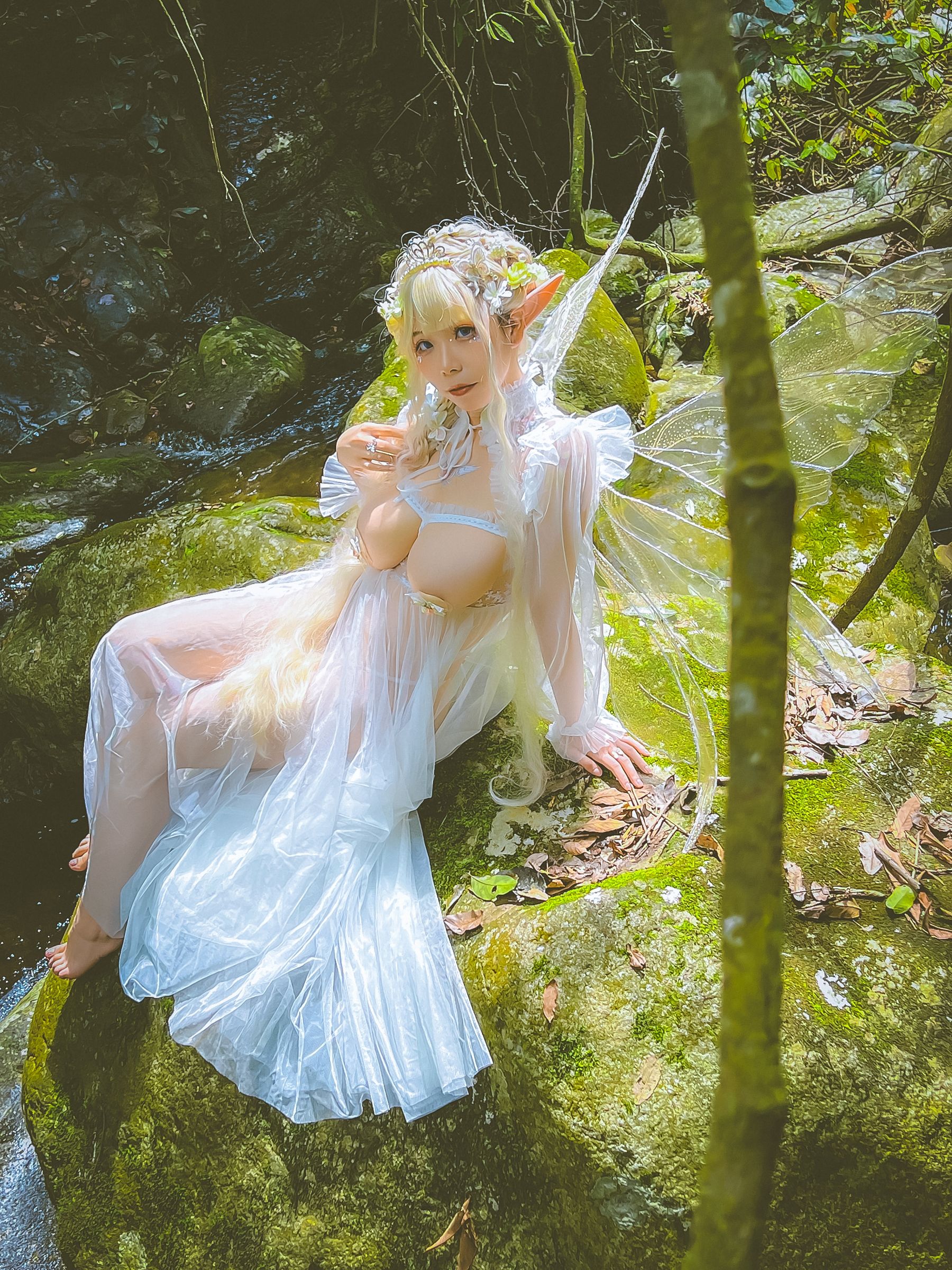 [福利COS] 自闭颜球球(无颜小天使wy) - 林中精灵