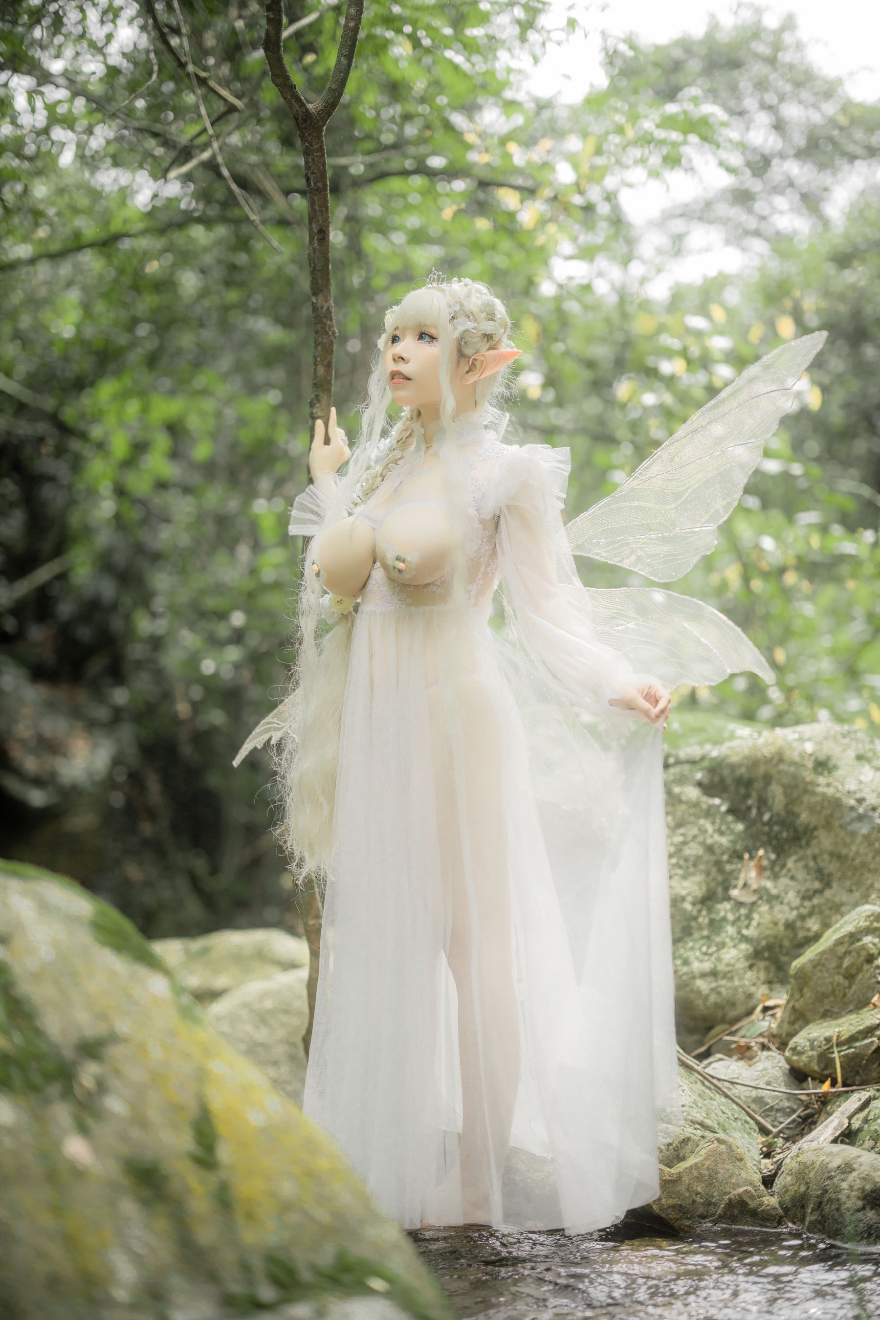 [福利COS] 自闭颜球球(无颜小天使wy) - 林中精灵